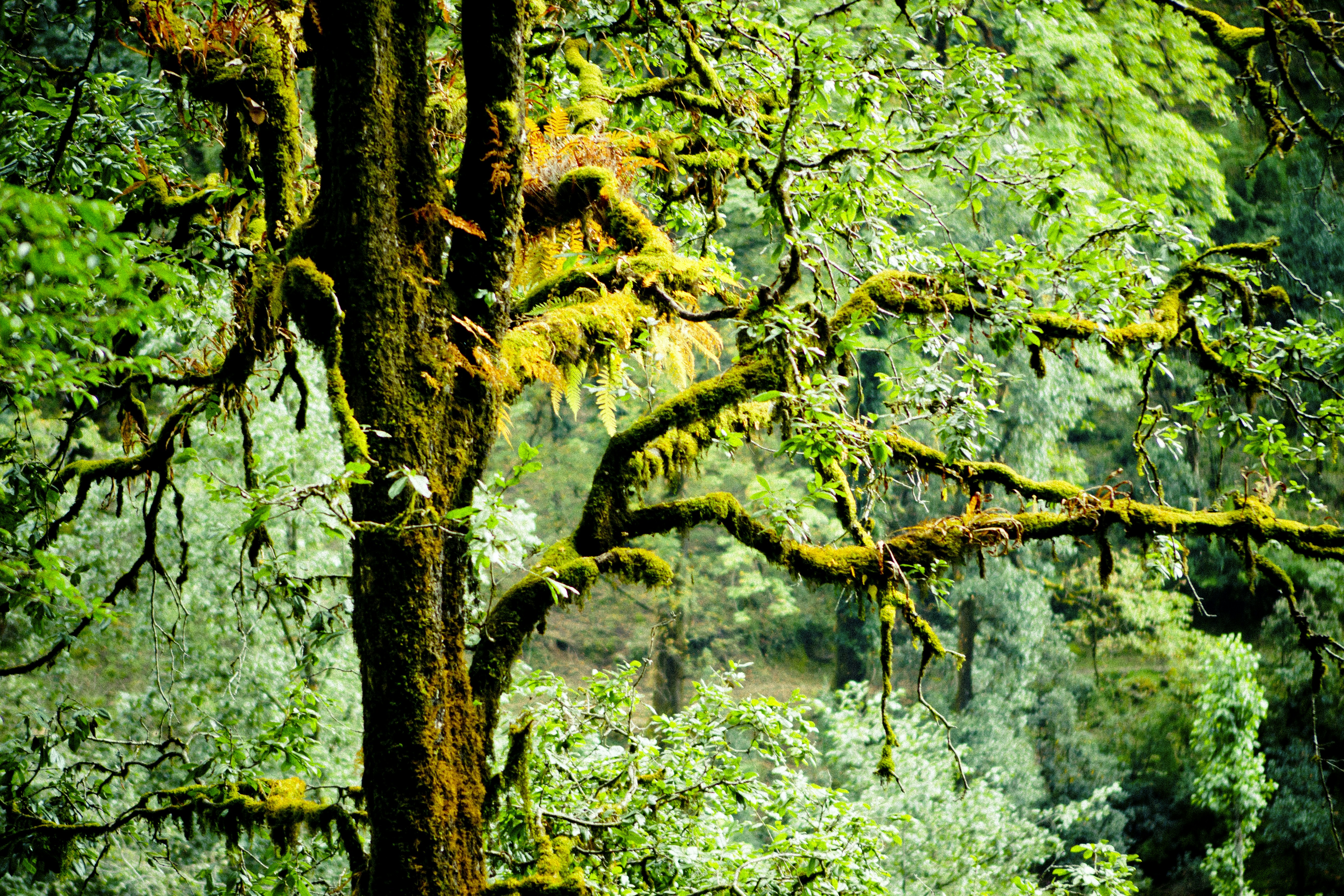 Photo by raimondklavins