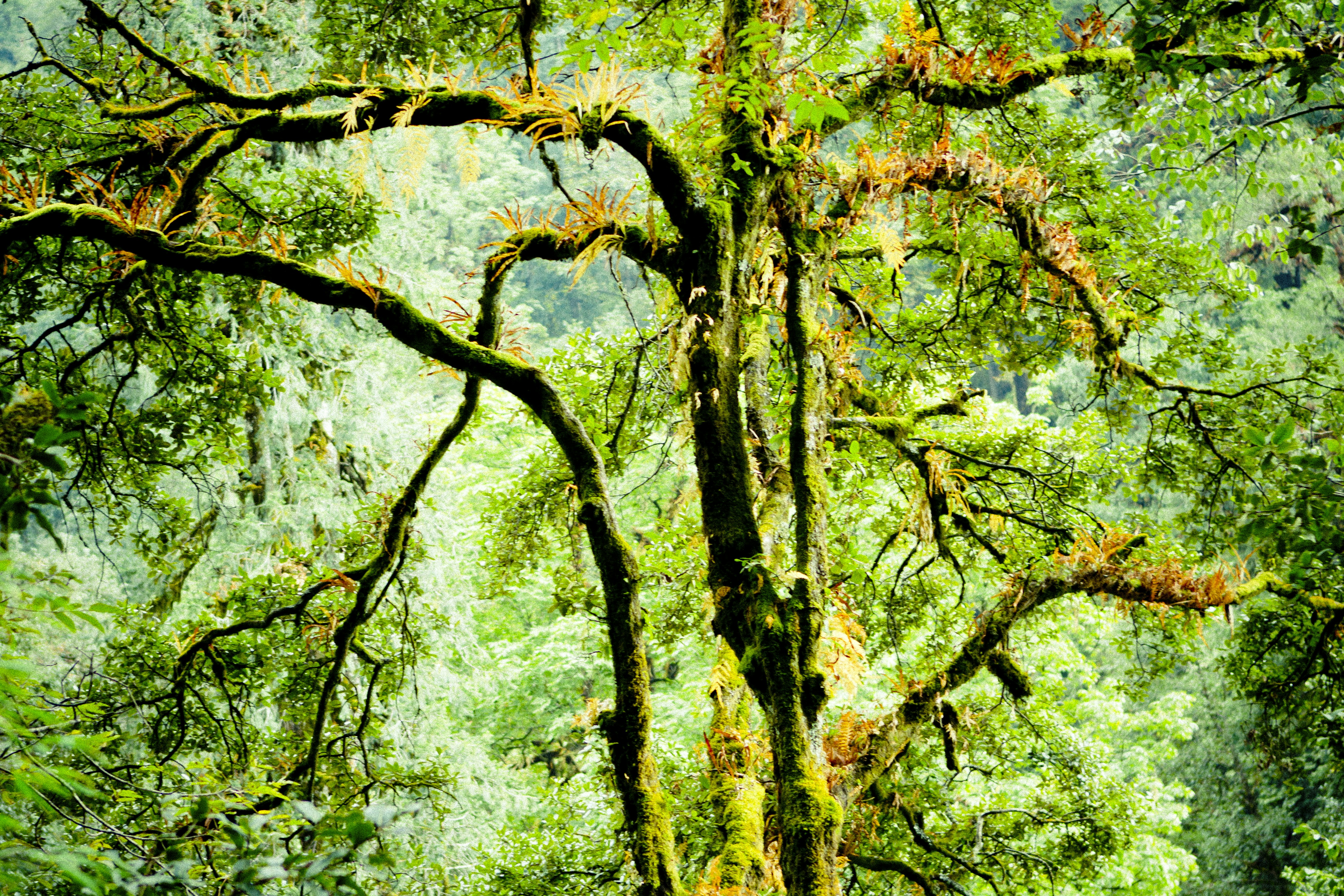 Photo by raimondklavins