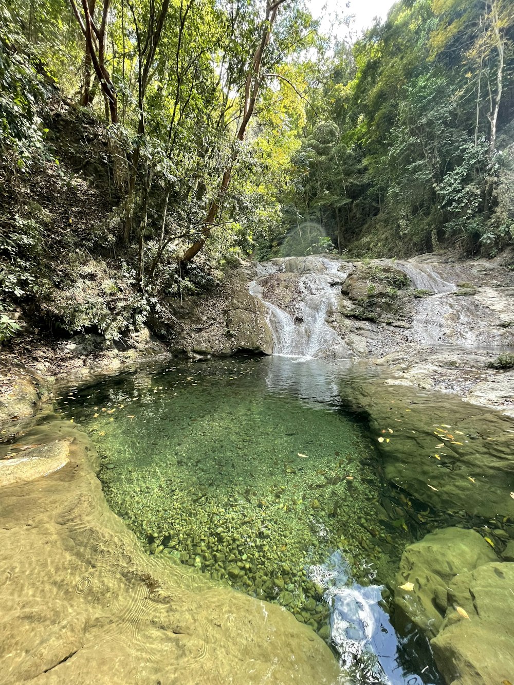 a small waterfall in the middle of a forest