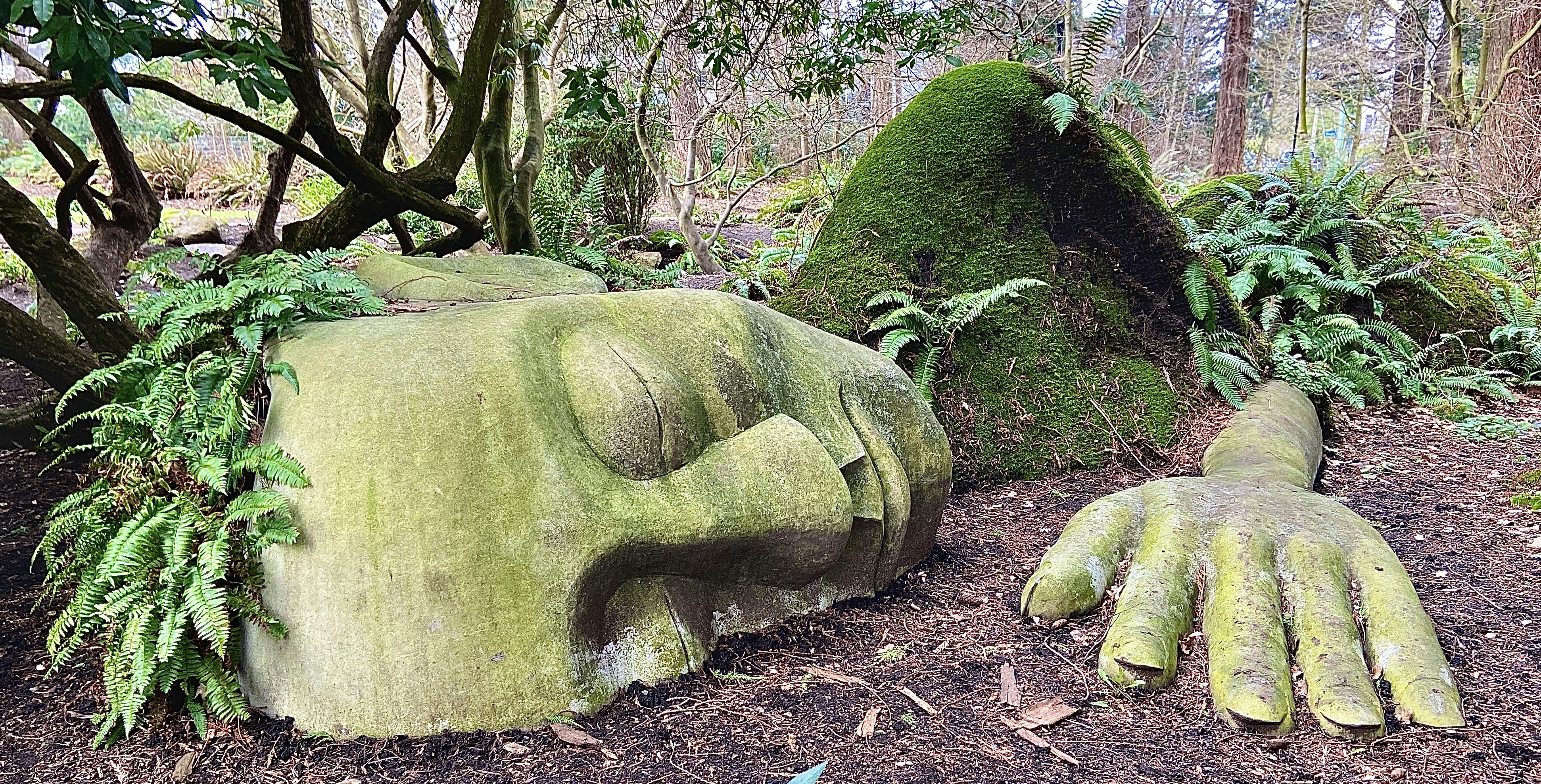 Photo by rubinaajdary