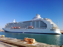 a large cruise ship docked in a harbor