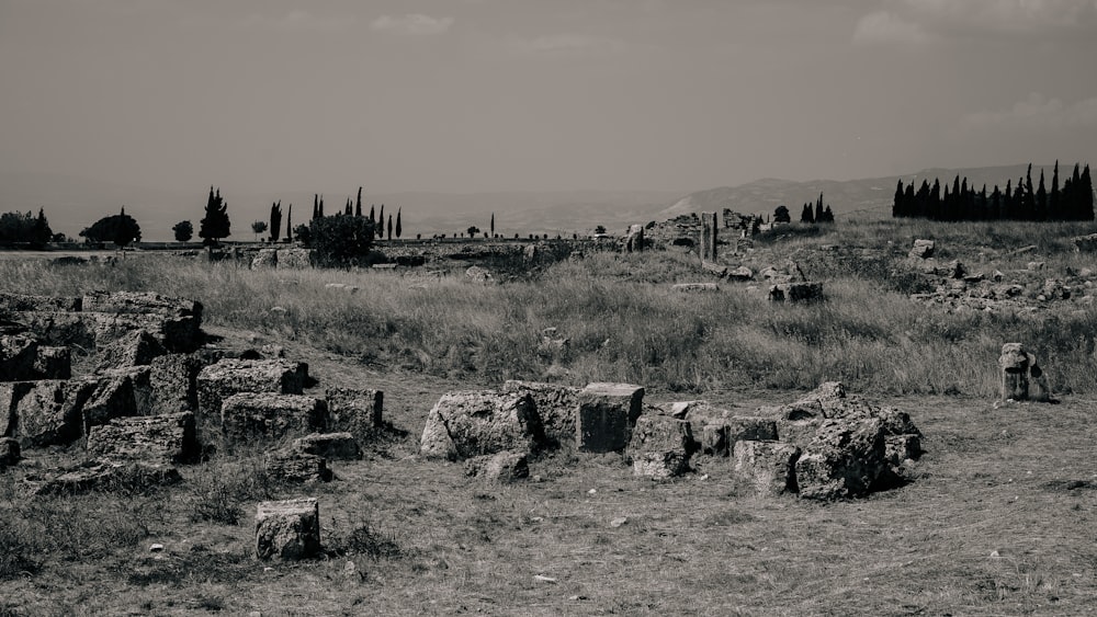 a black and white photo of a field with rocks