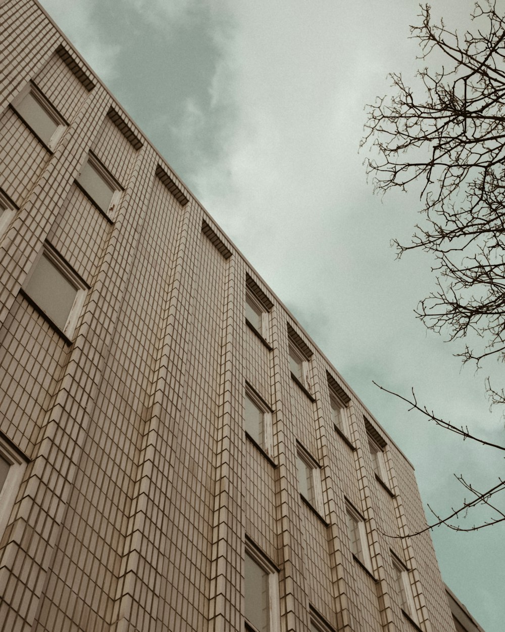 a tall brick building with windows and a tree in front of it