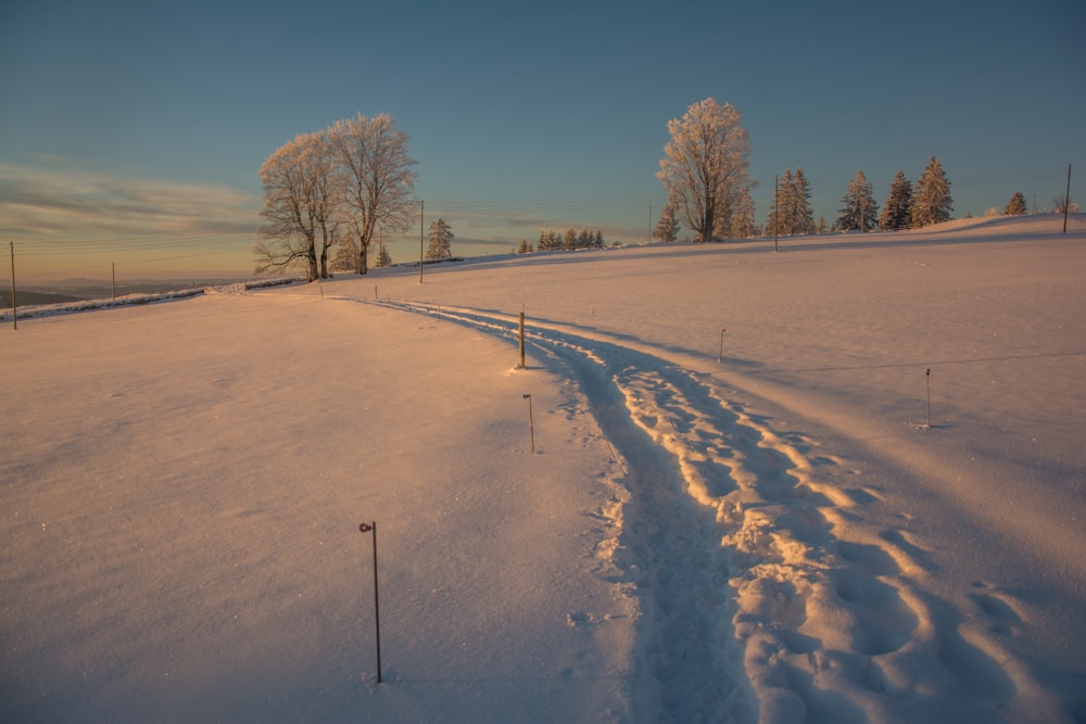 un champ enneigé avec un sentier au milieu