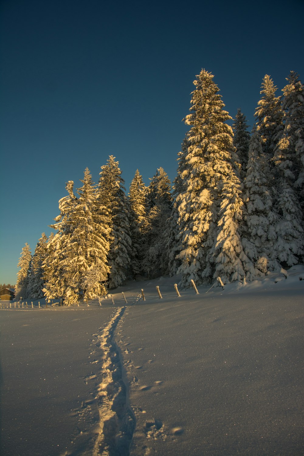 un champ enneigé avec un sentier au milieu