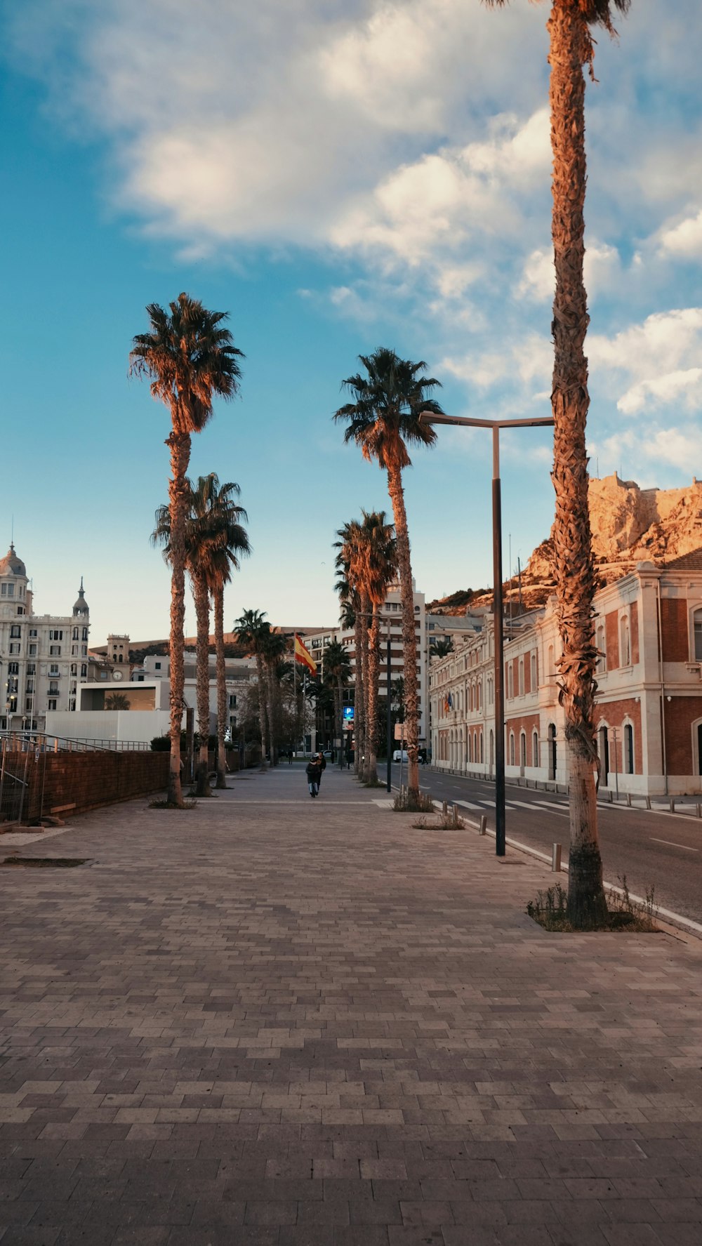 a palm tree lined street with buildings in the background