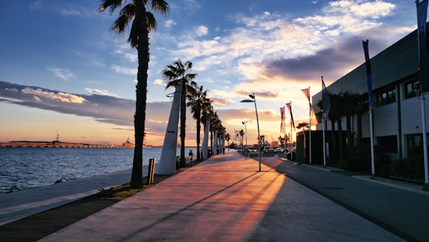 the sun is setting over the water and palm trees