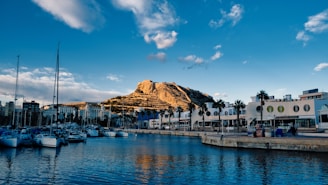 a body of water with a mountain in the background