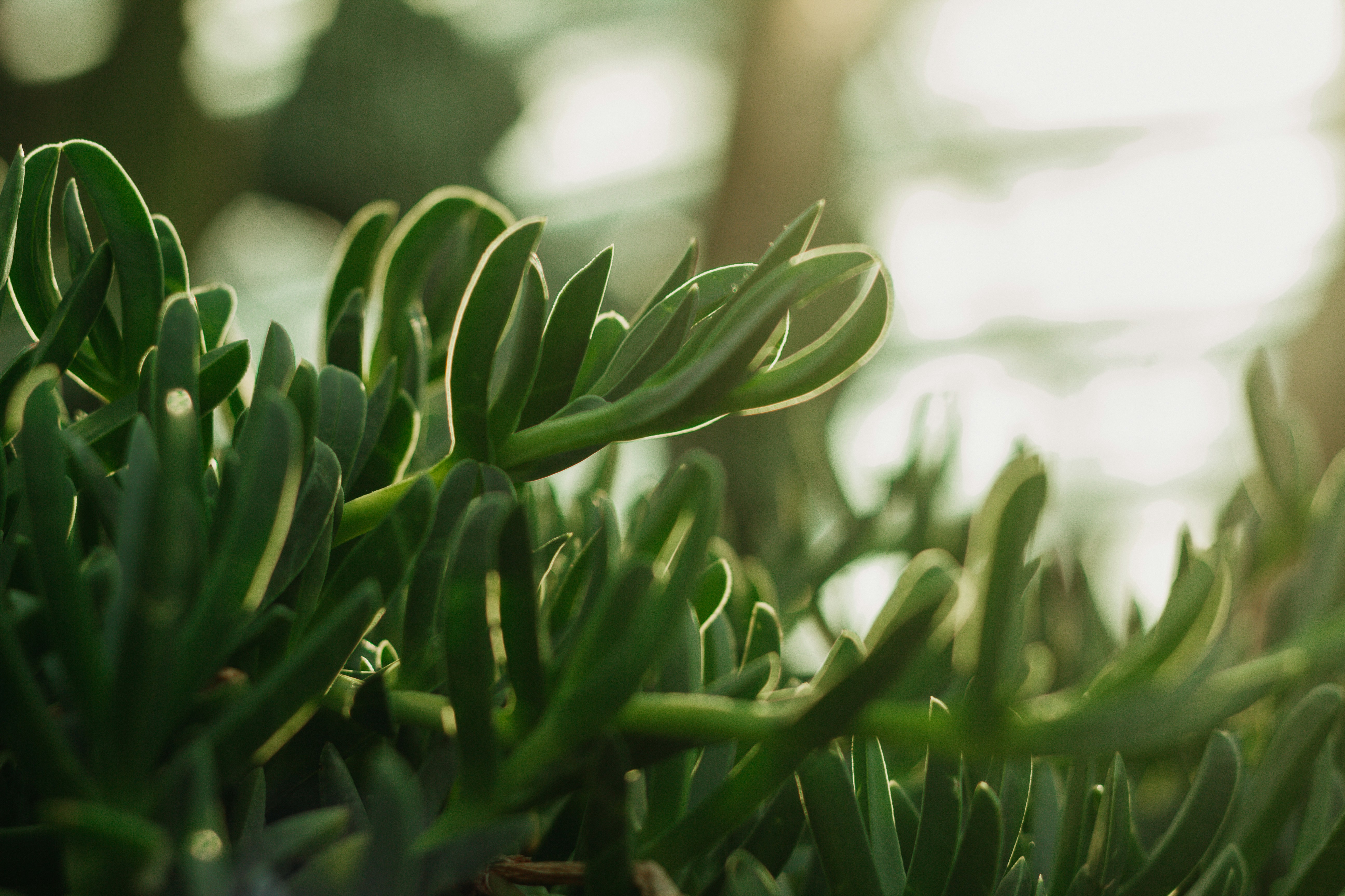 Photo by janwalterluigi