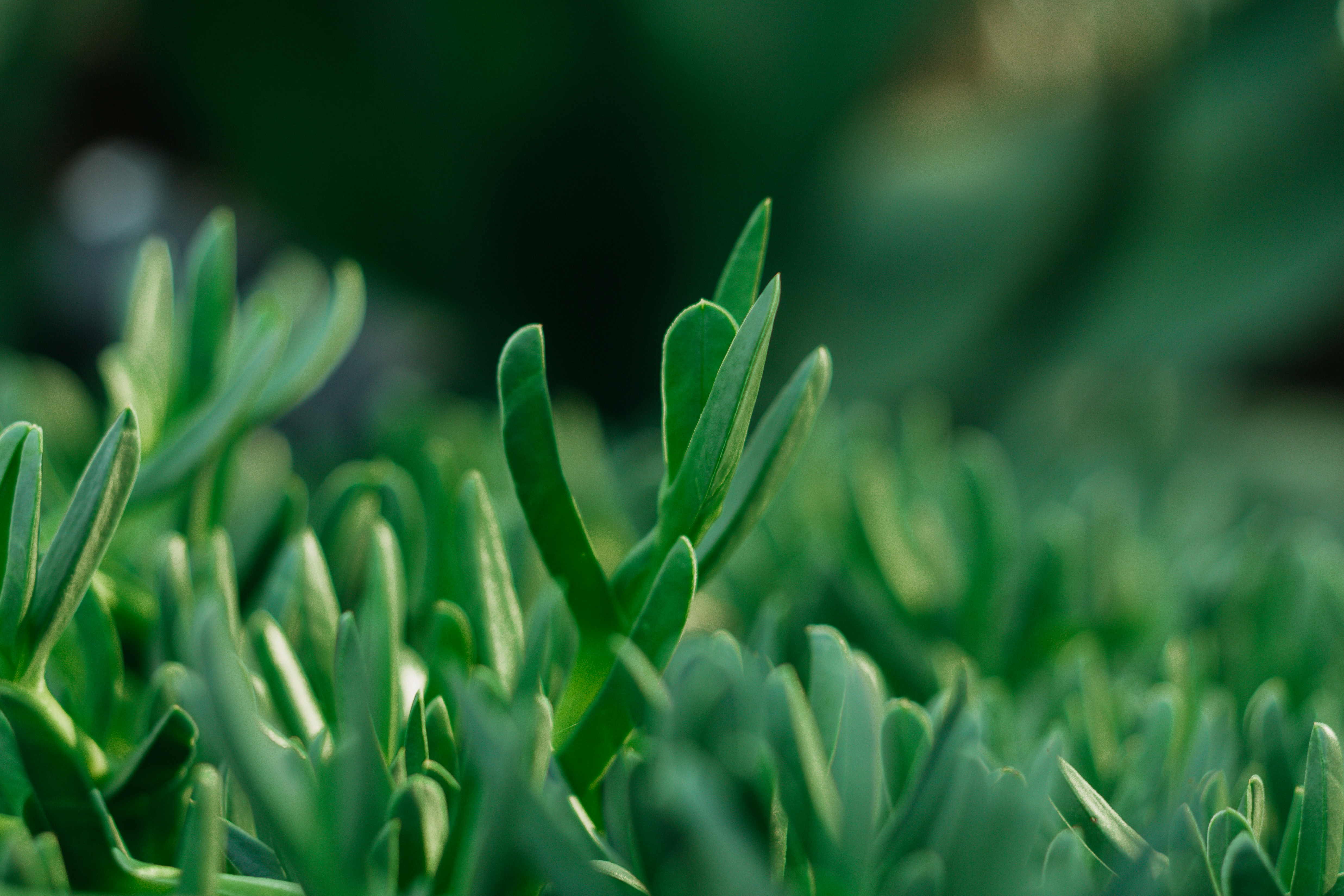 Photo by janwalterluigi