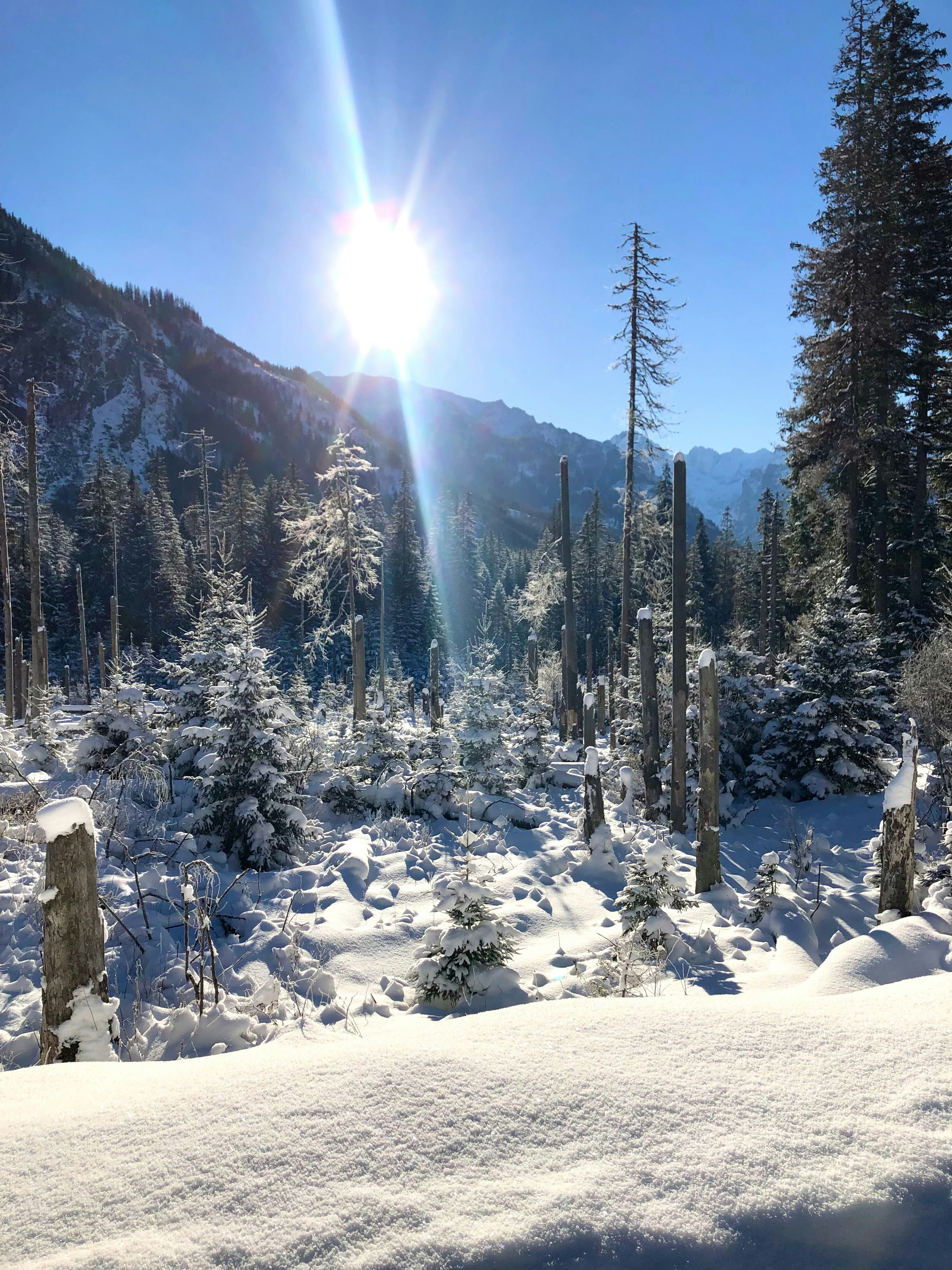 Photo by maksym_harbar