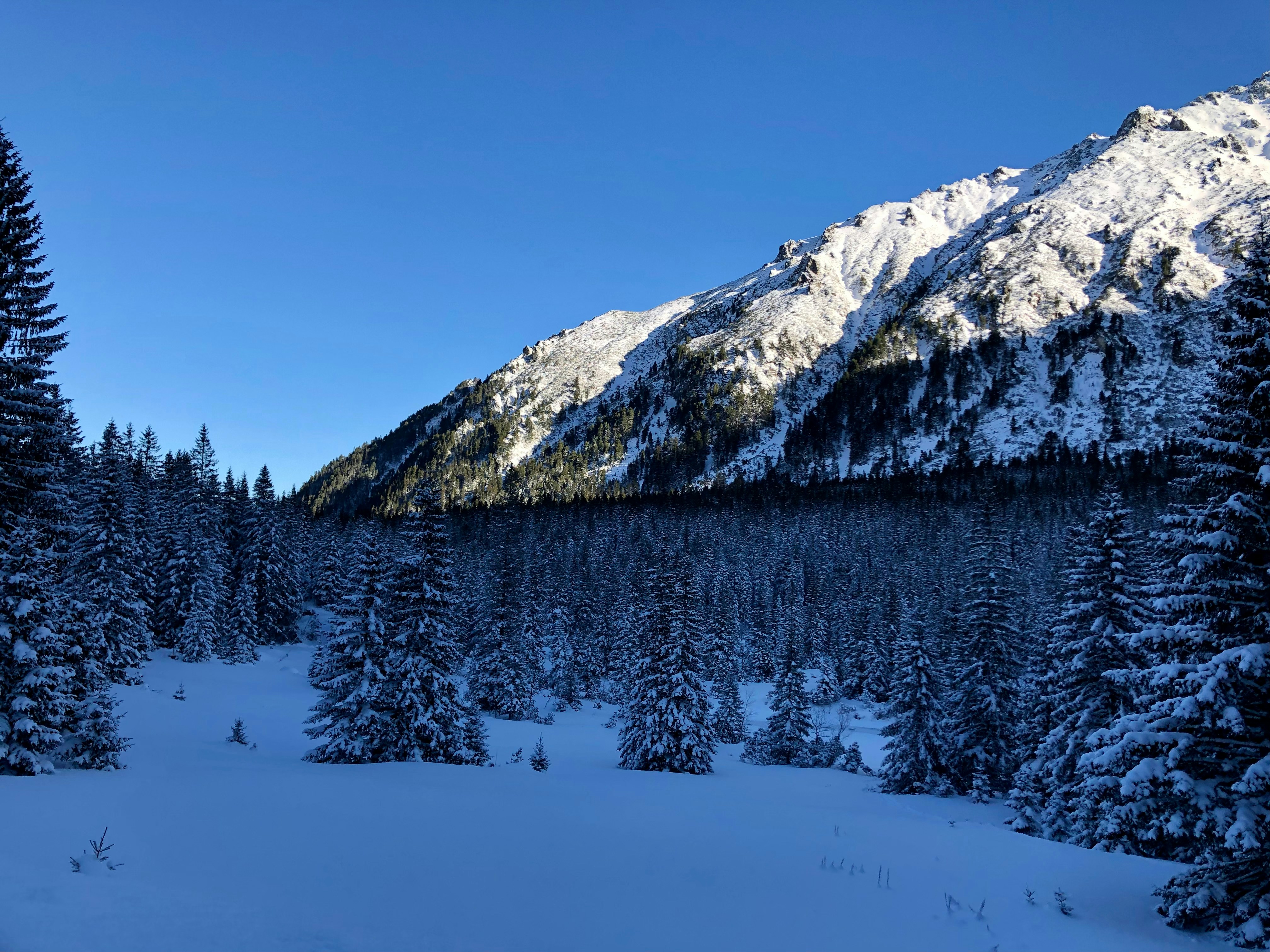 Photo by maksym_harbar