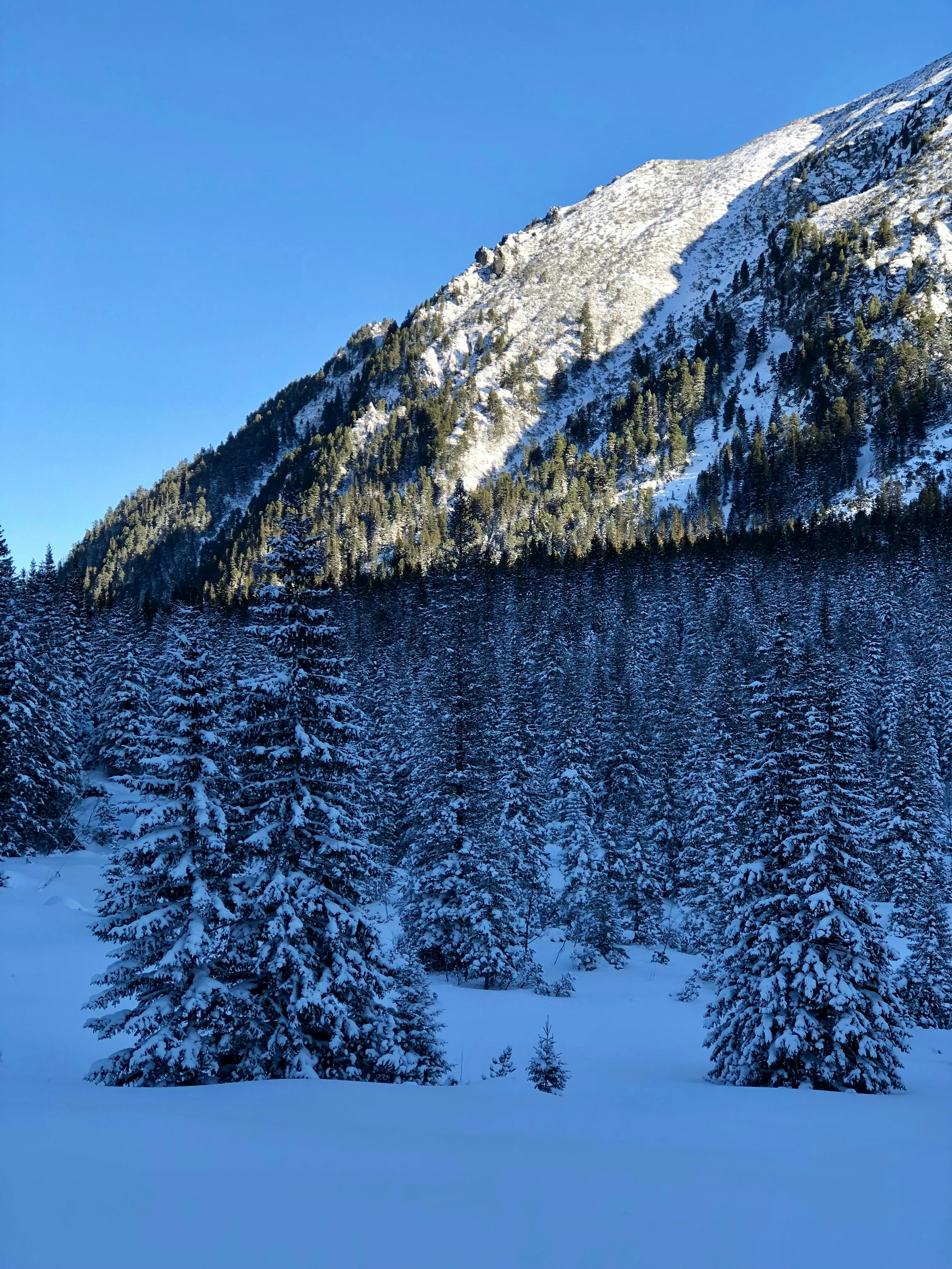 Photo by maksym_harbar