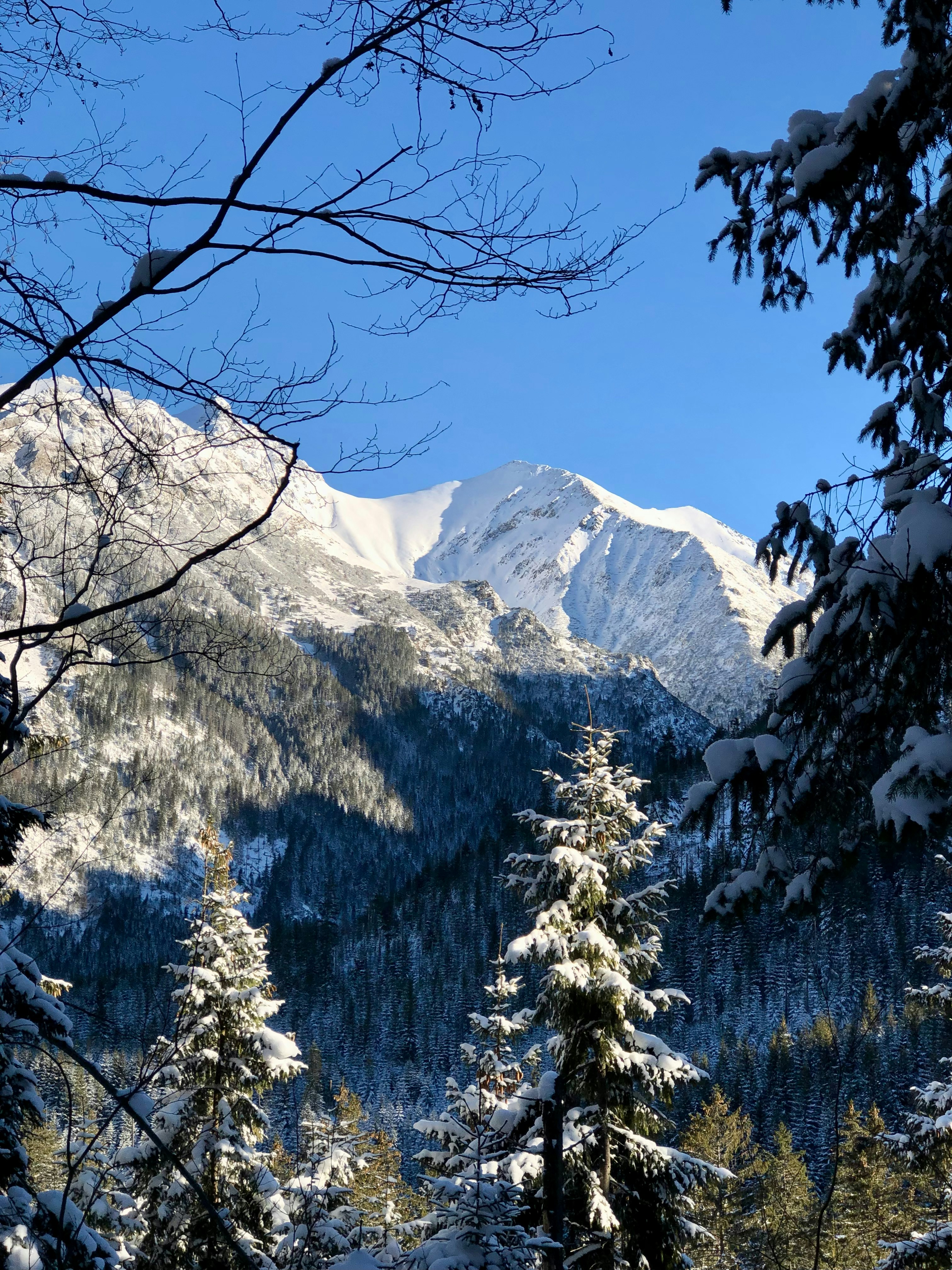 Photo by maksym_harbar