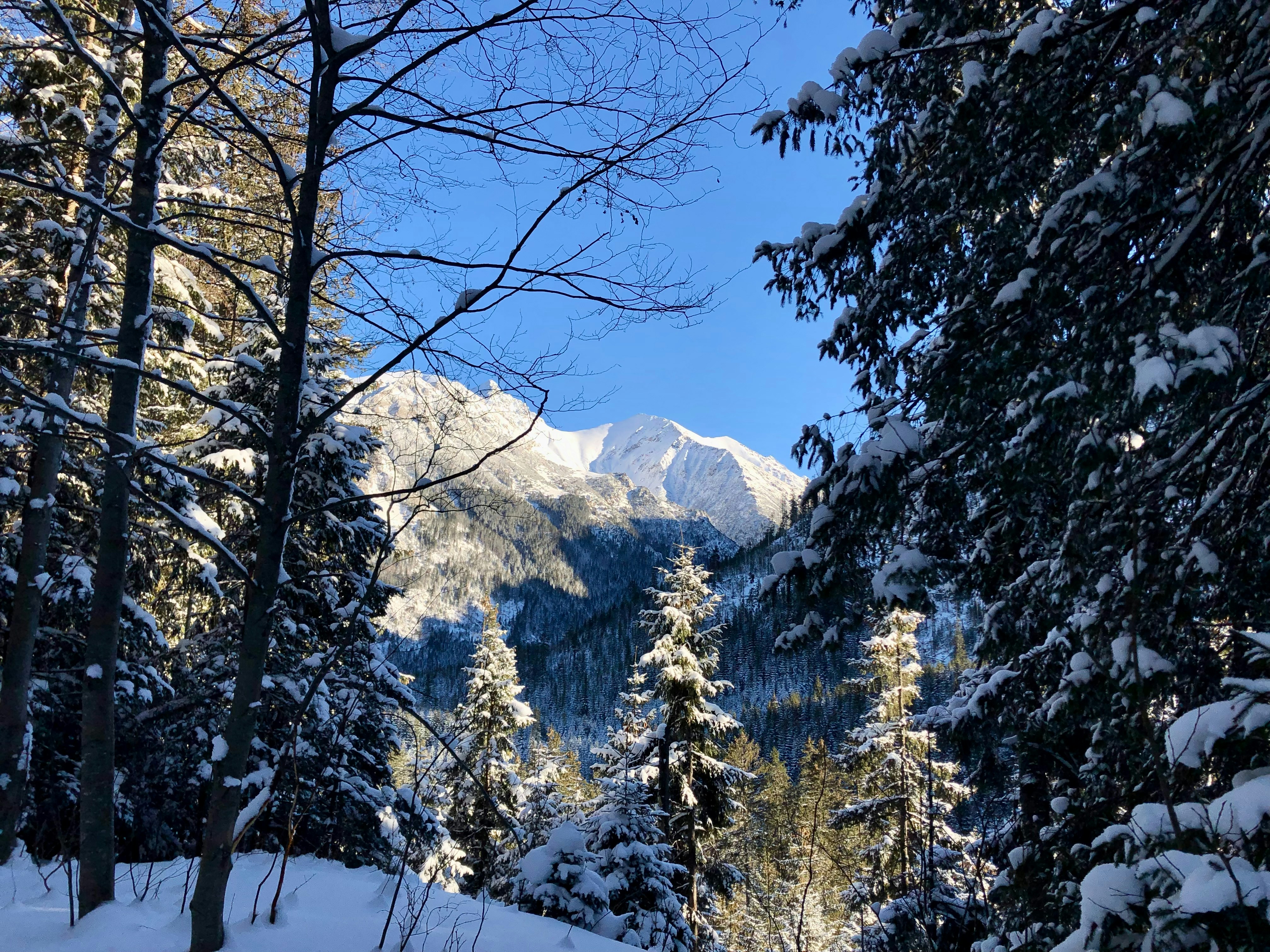 Photo by maksym_harbar