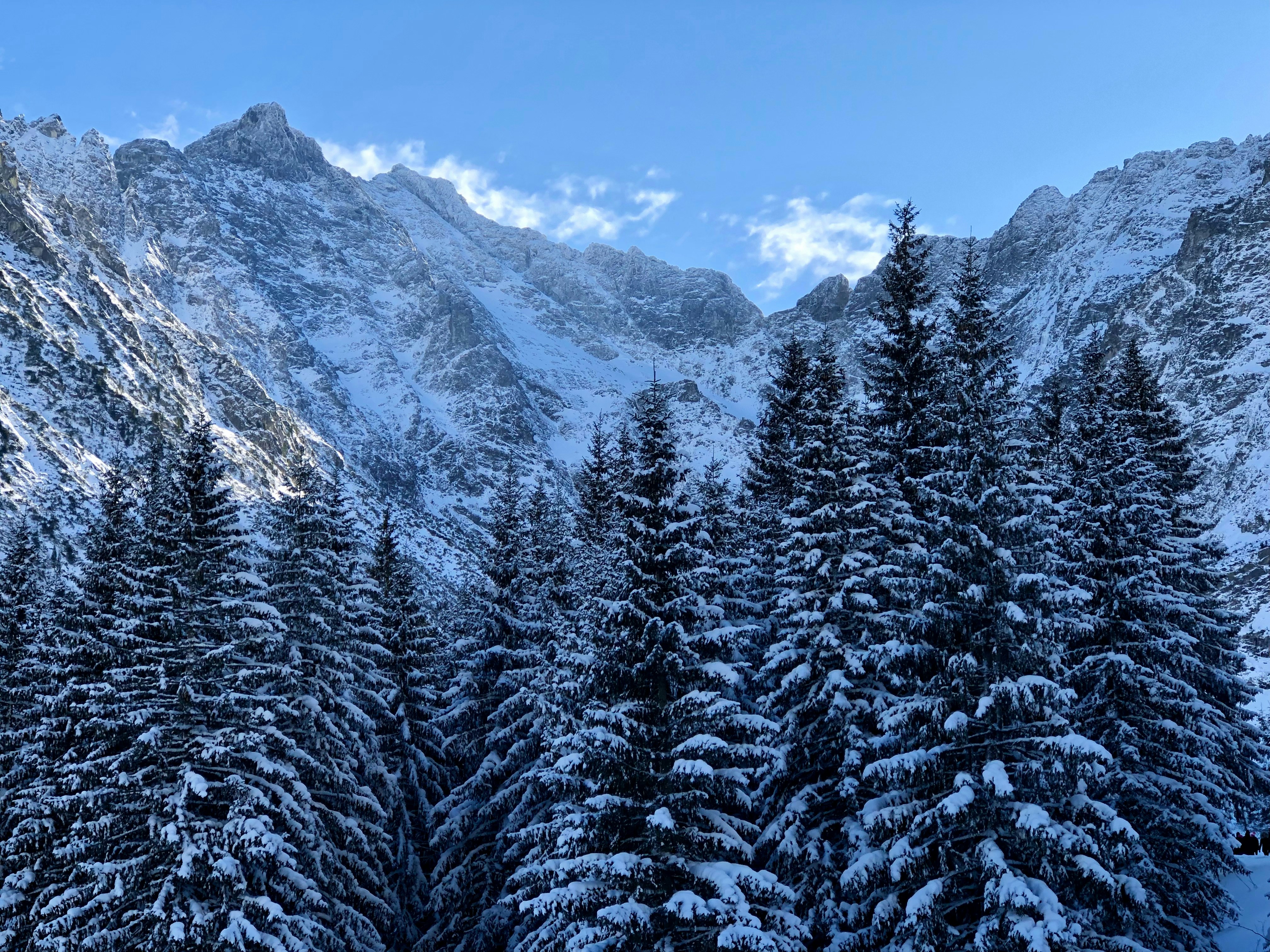 Photo by maksym_harbar