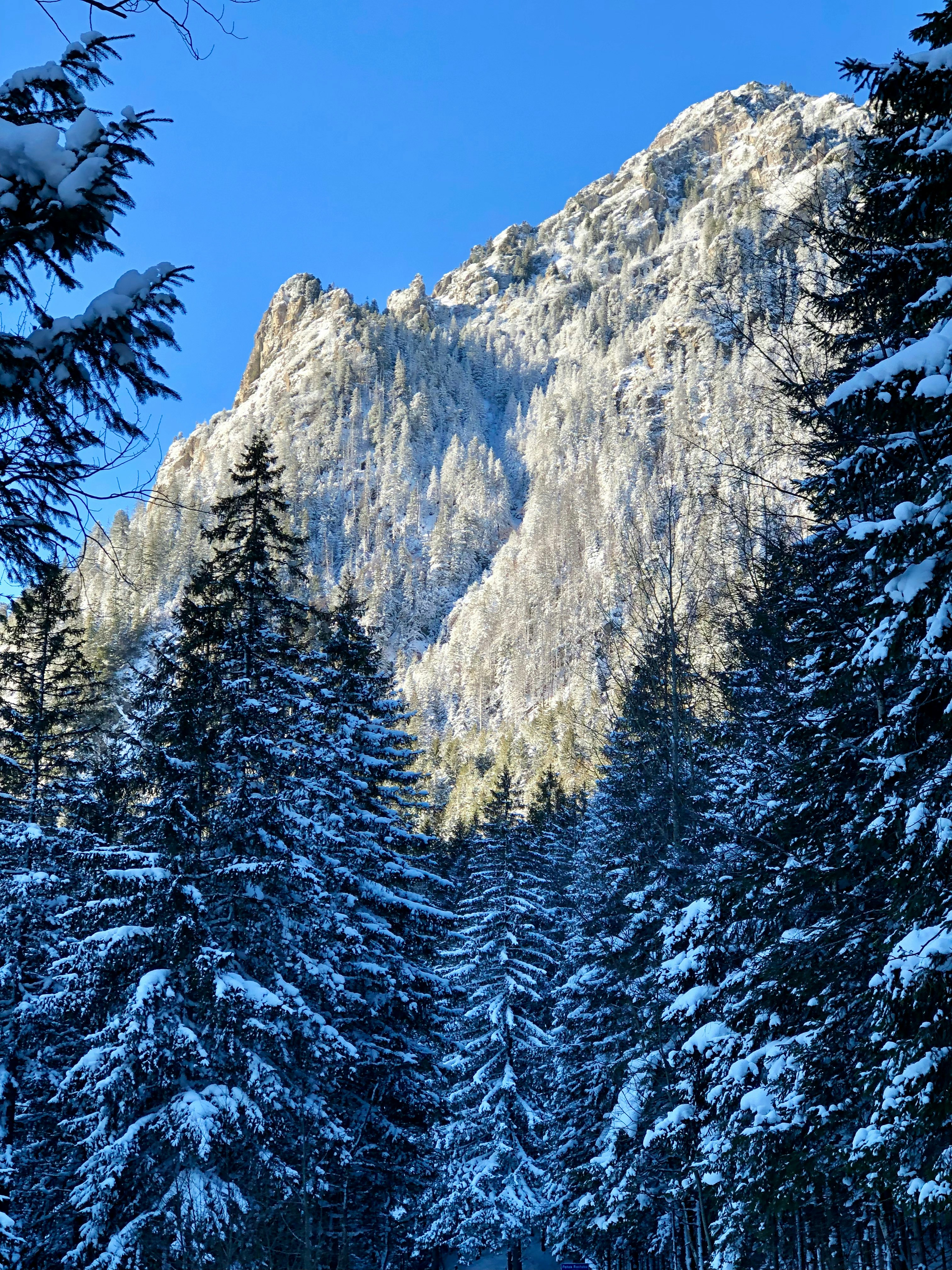 Photo by maksym_harbar