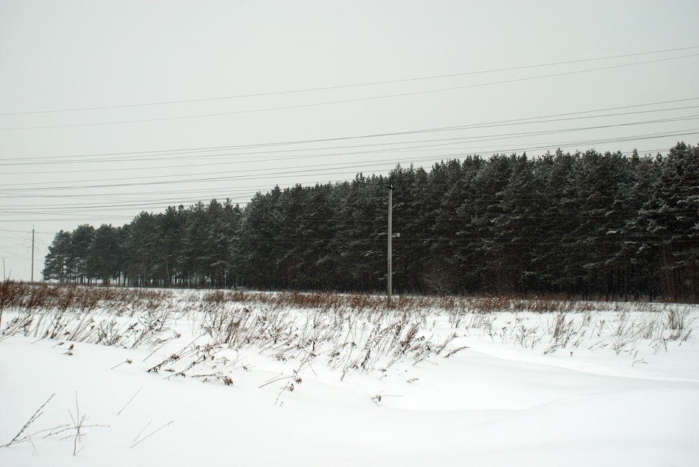 a field covered in snow next to a forest