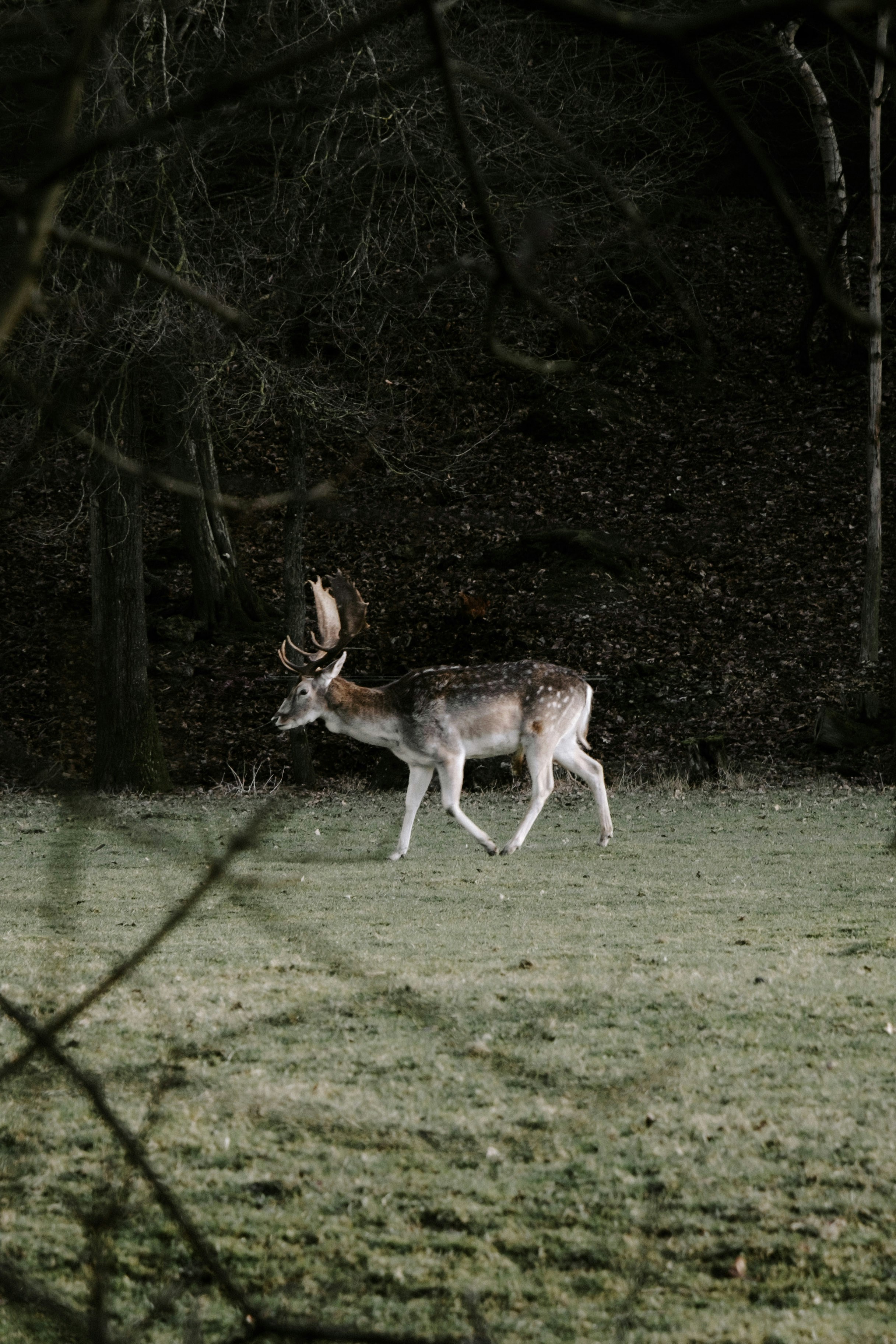 Photo by matreding