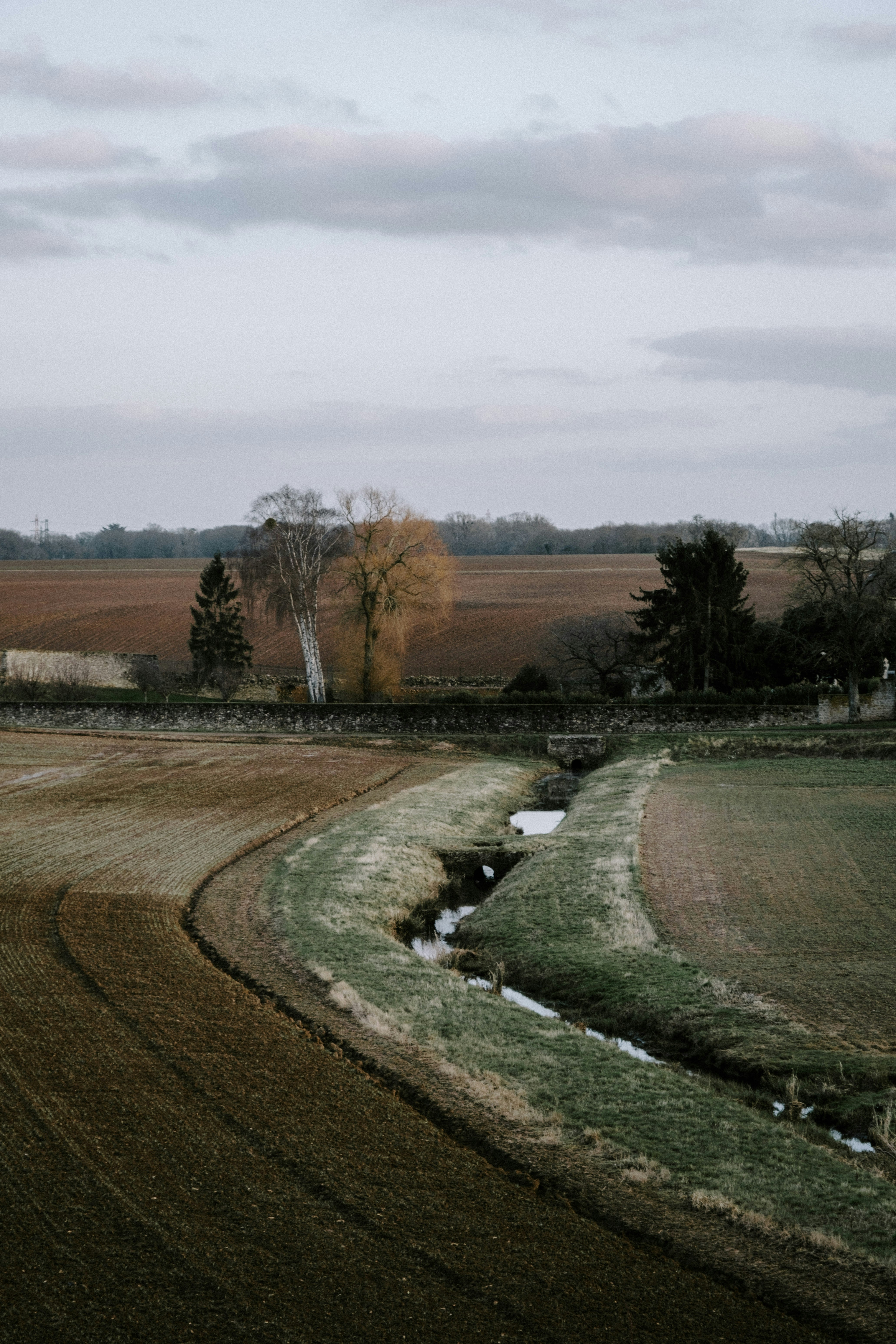 Photo by matreding