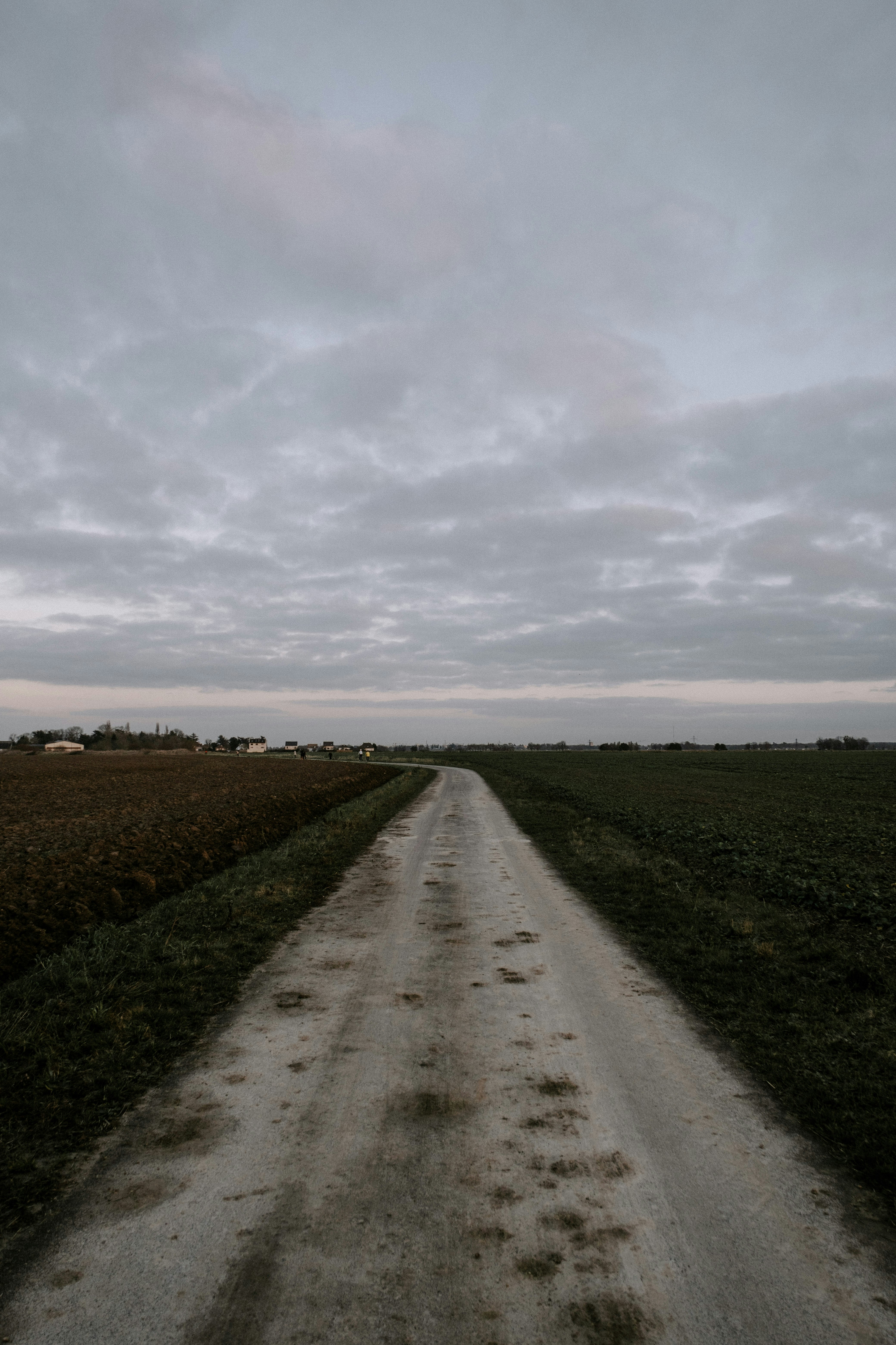 Photo by matreding