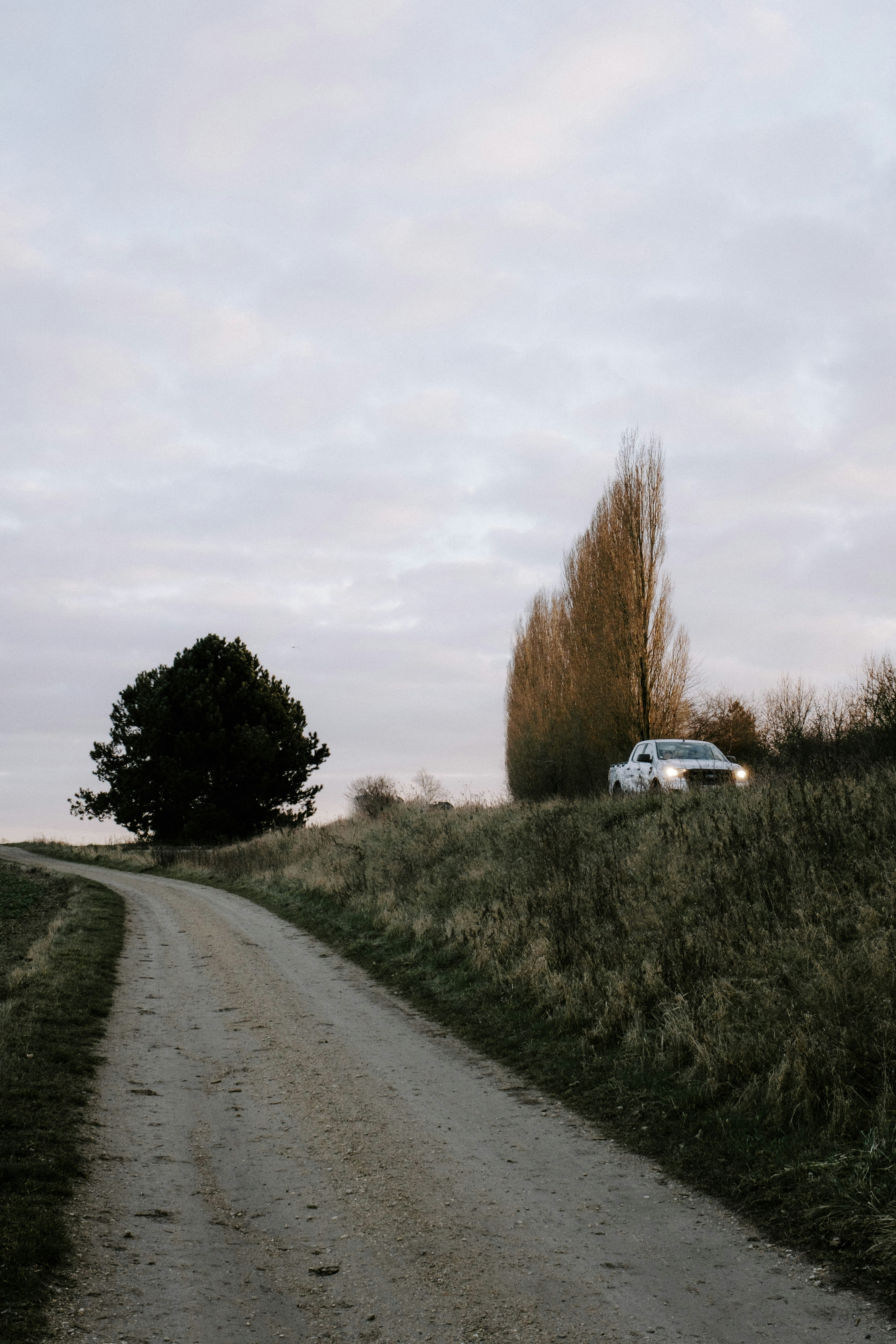 Photo by matreding