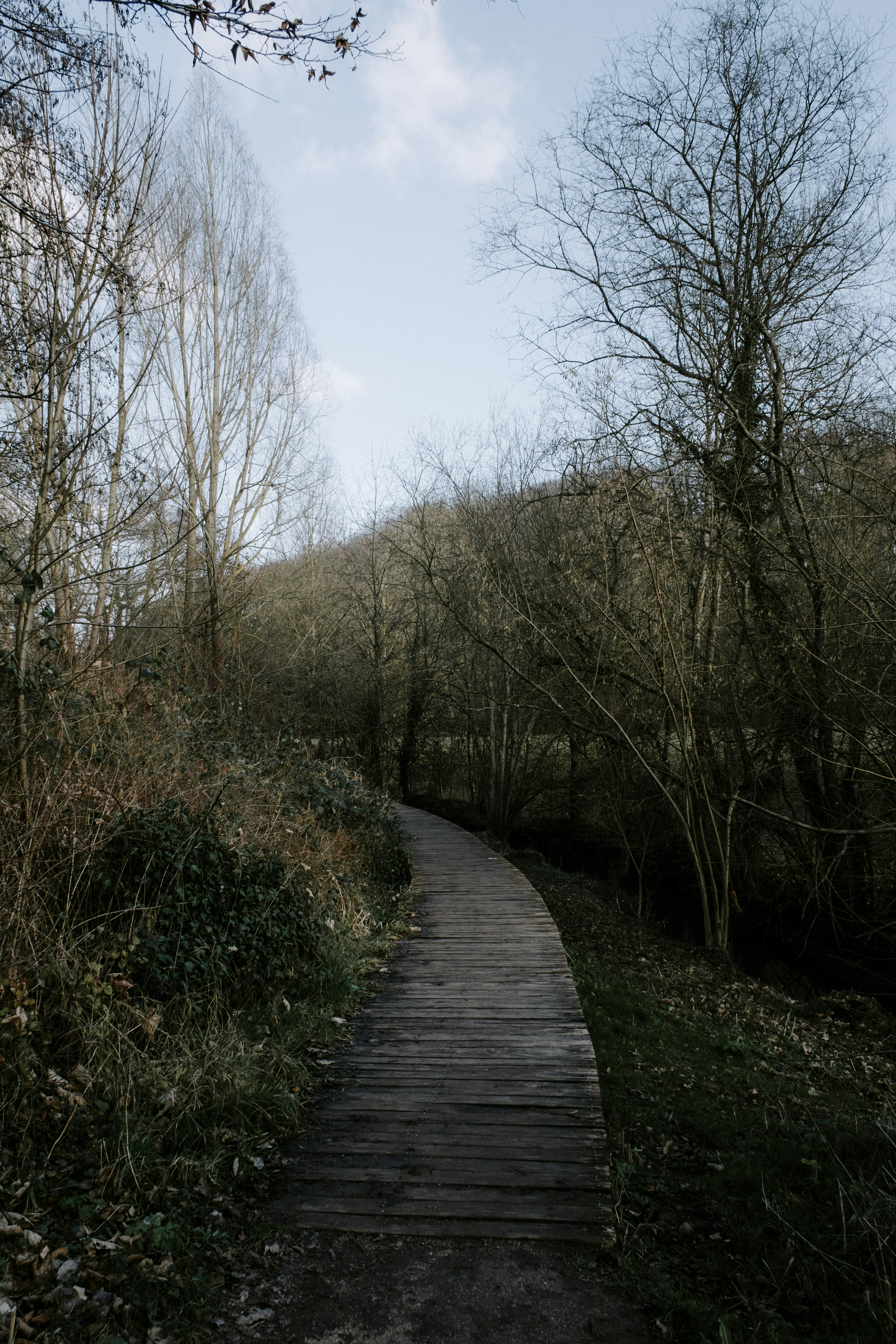 Photo by matreding