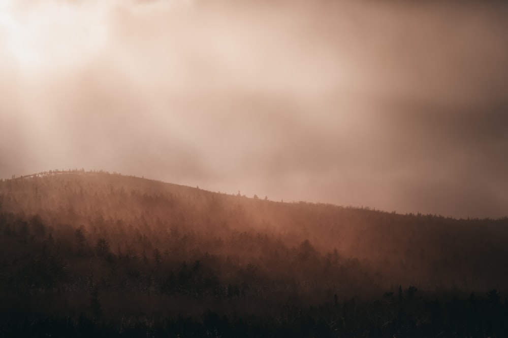 a mountain covered in trees under a cloudy sky