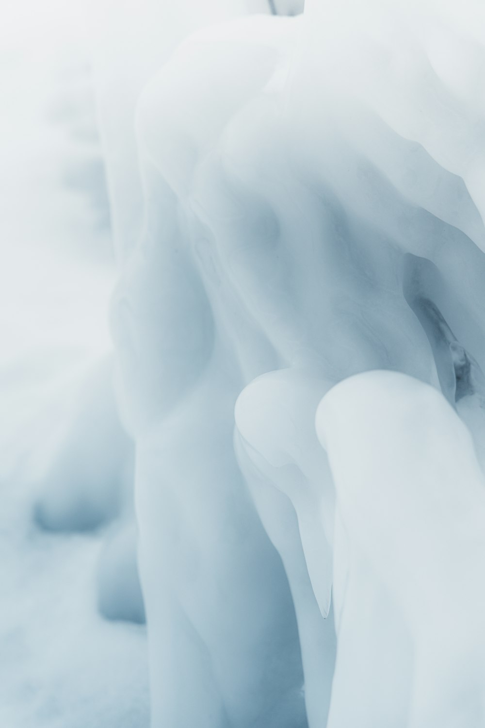 a close up of a snow covered tree branch