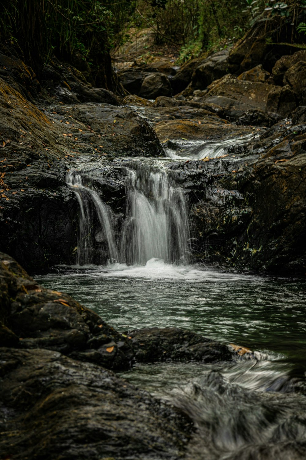 a small waterfall in the middle of a forest