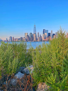 a view of a city skyline from the water