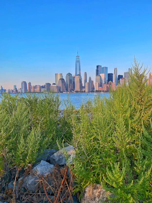 a view of a city skyline from the water