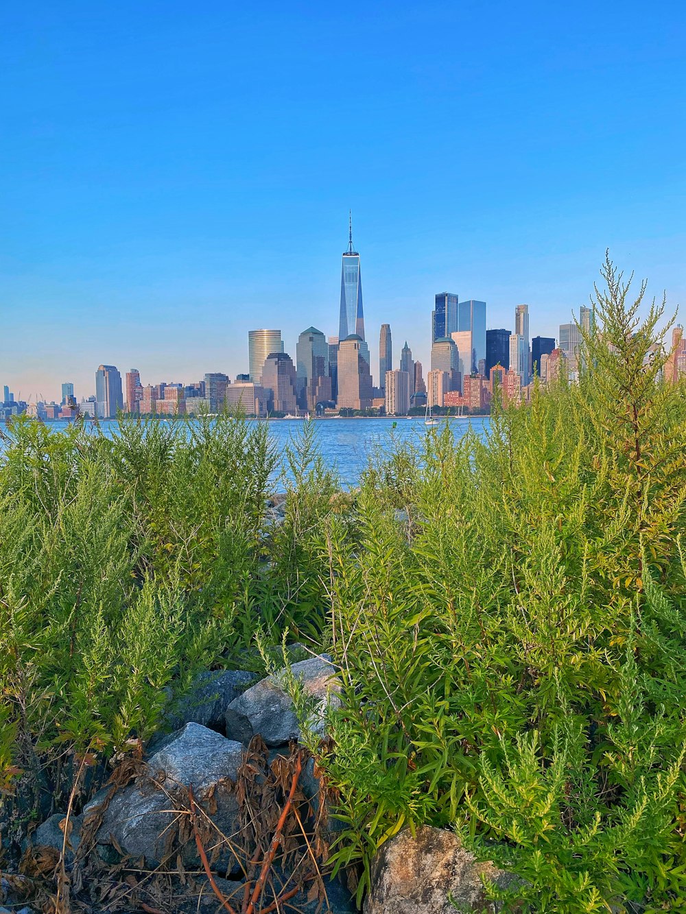 a view of a city skyline from the water