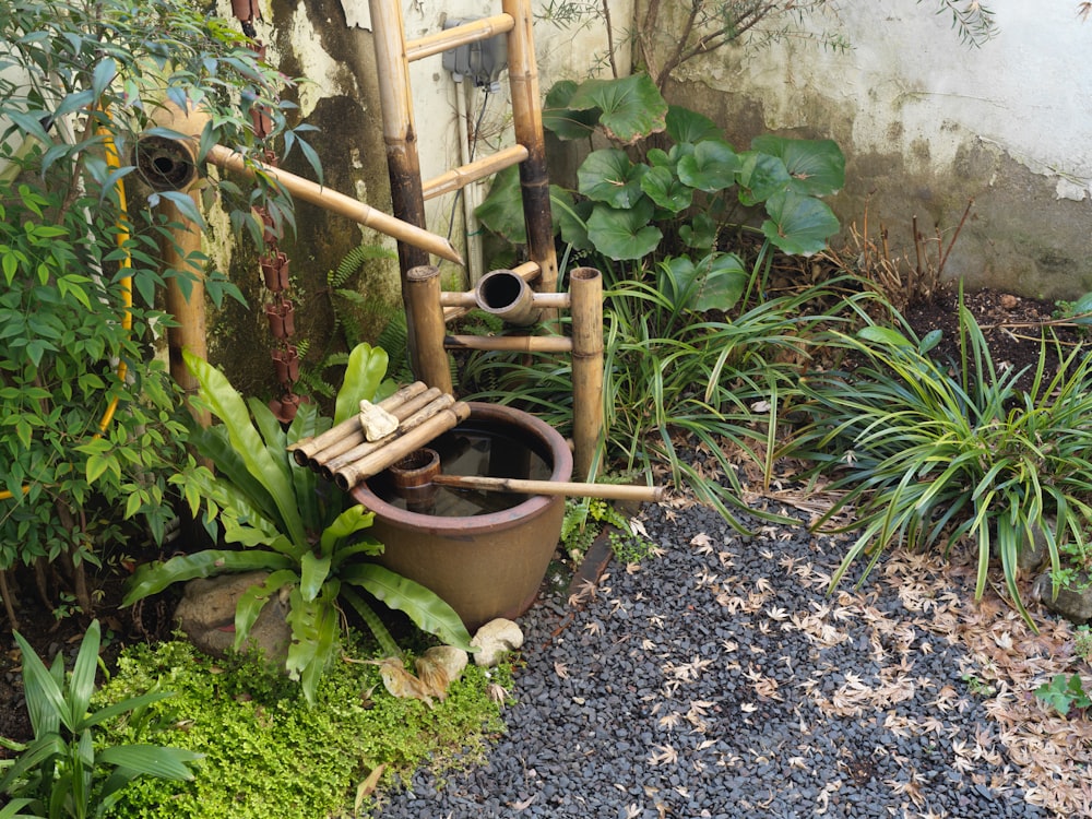 a garden with a toilet in the middle of it