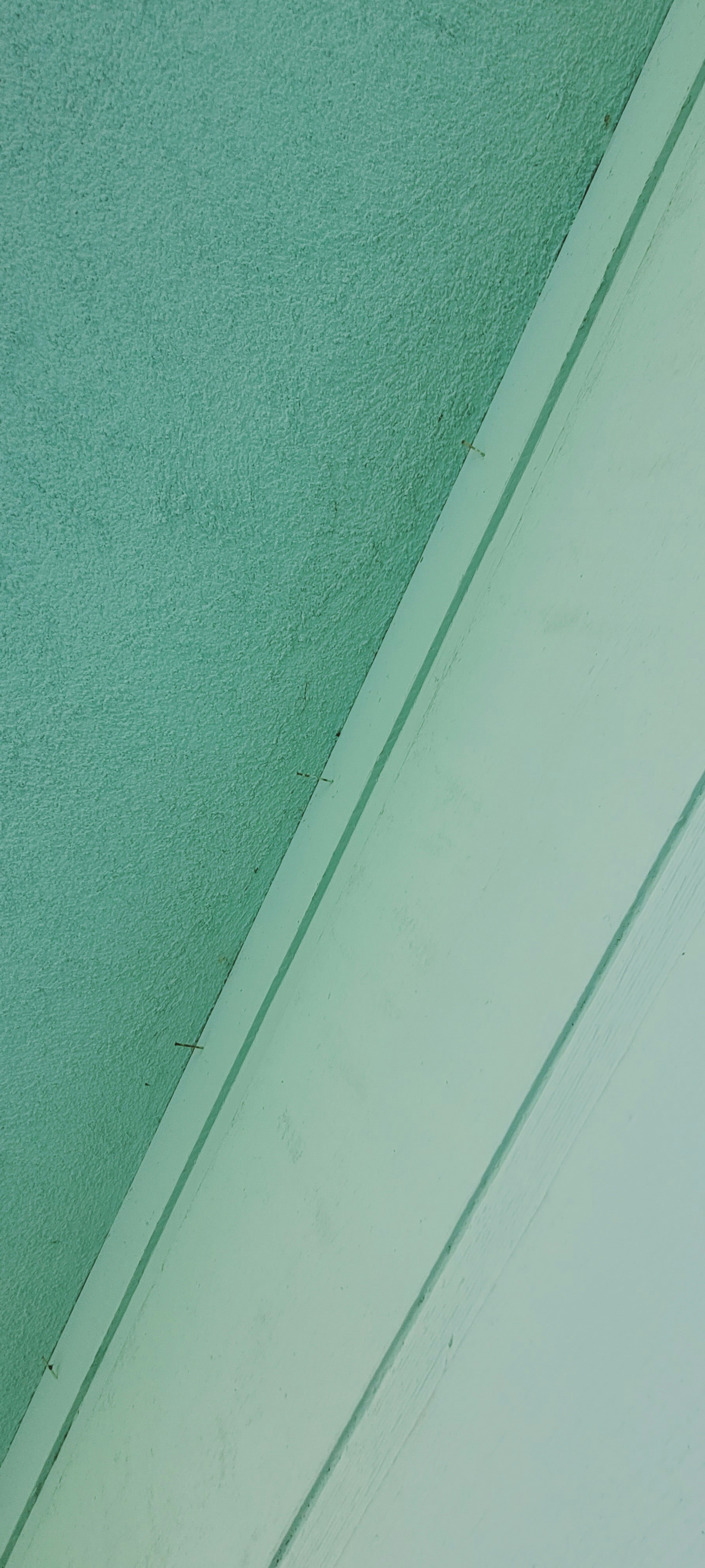 Photo by daisies_and_dots