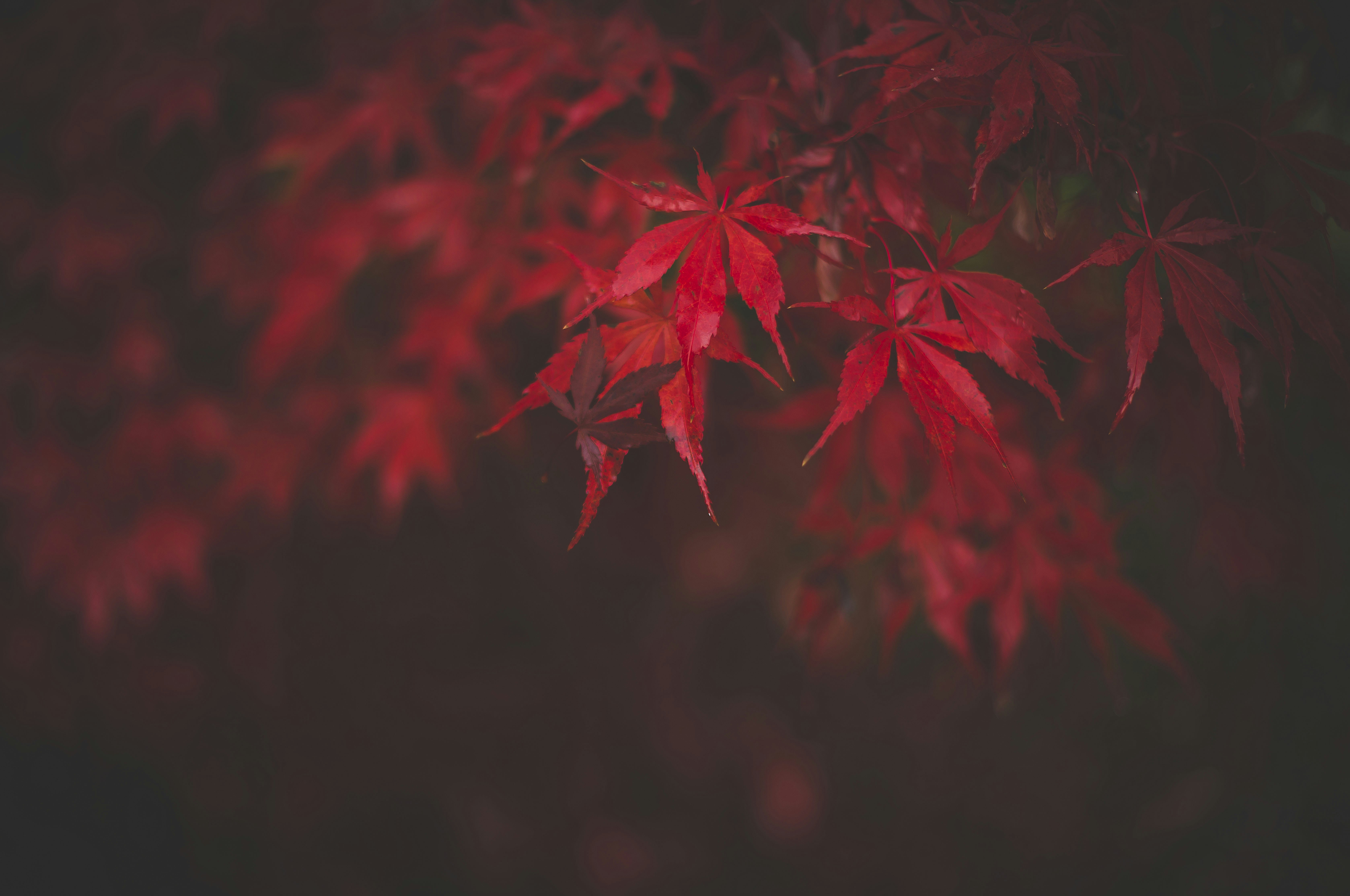 personal_style_autumn_2025