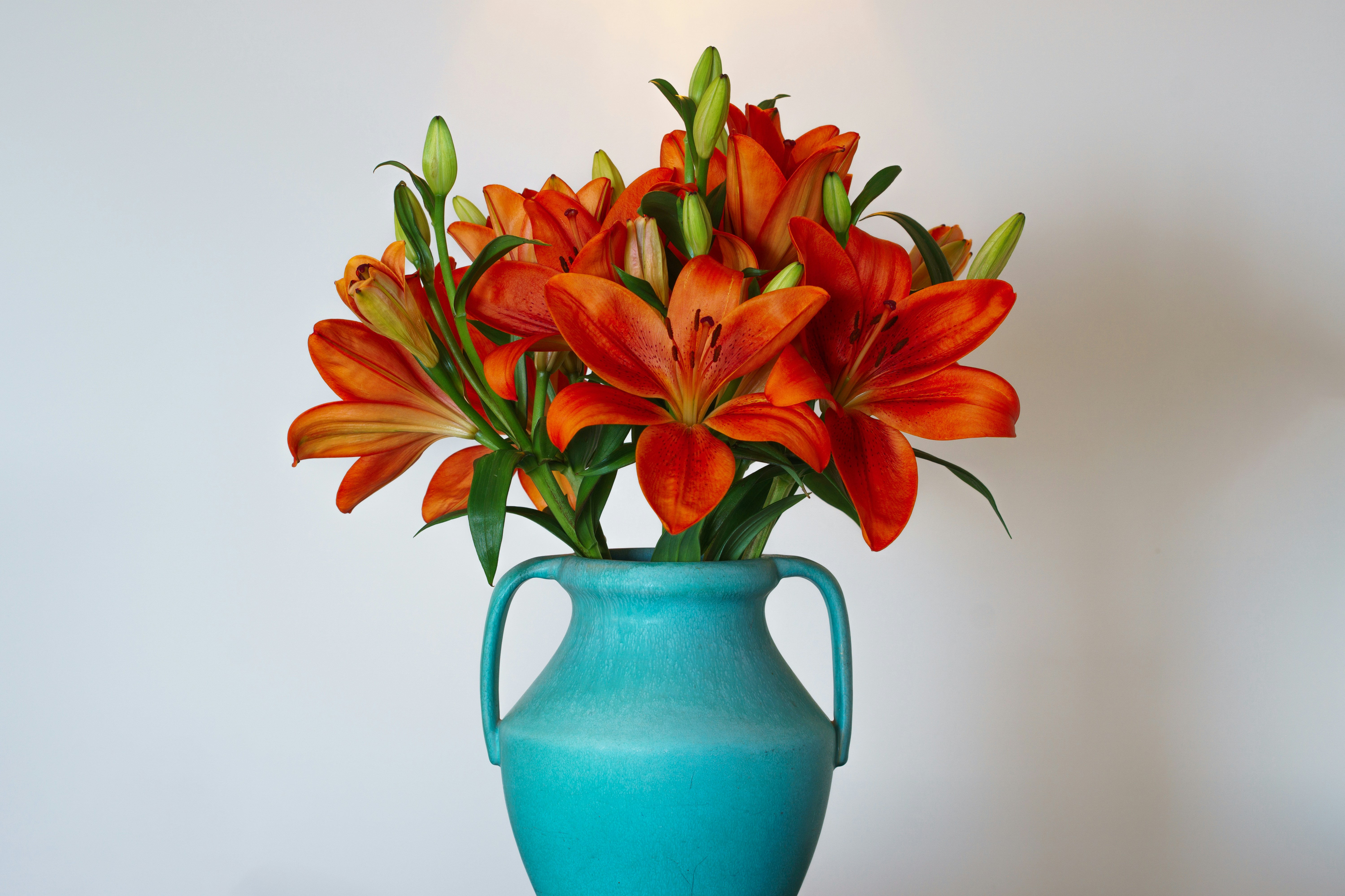 Photo by earl_plannerzone