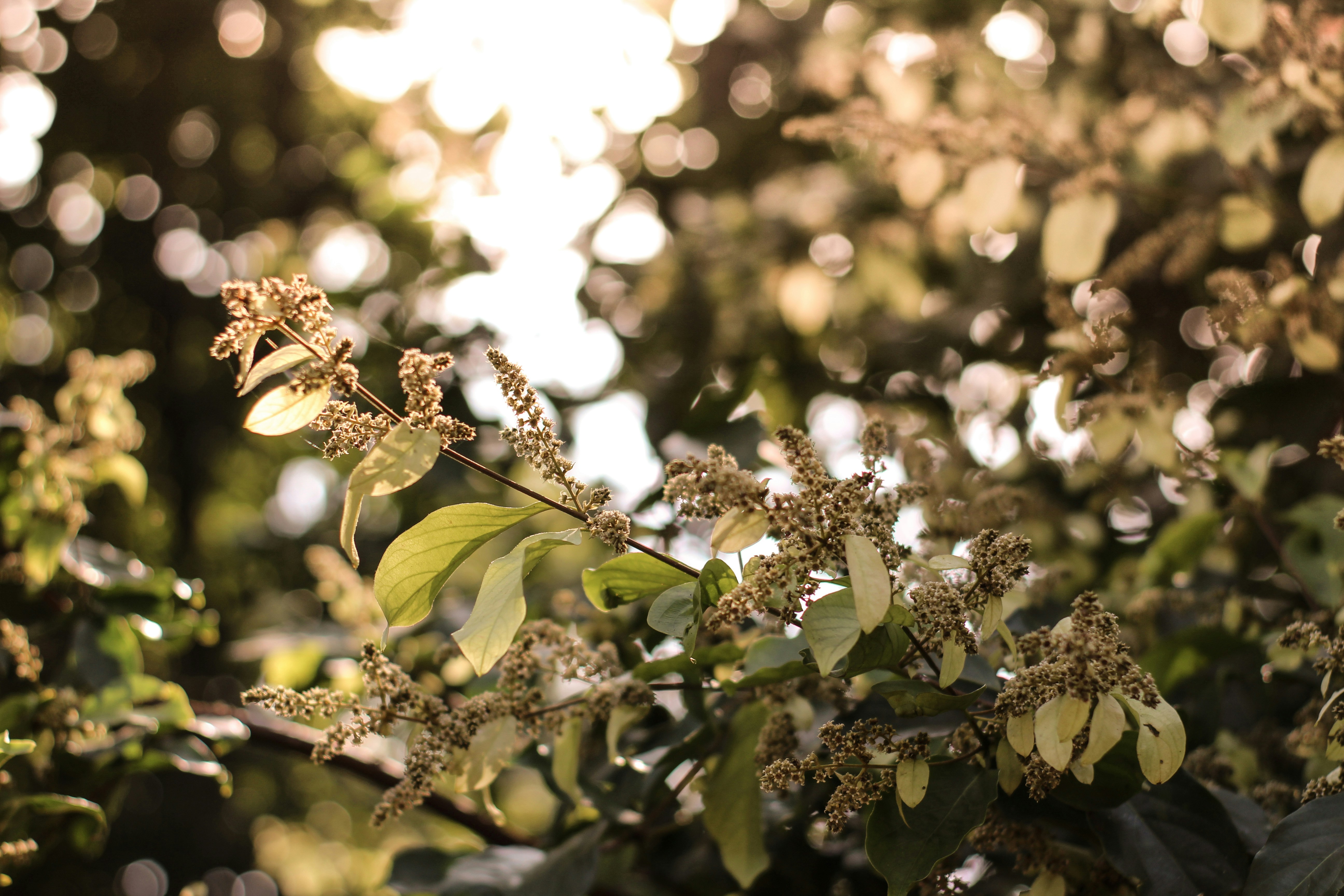 Photo by tusharranjan_