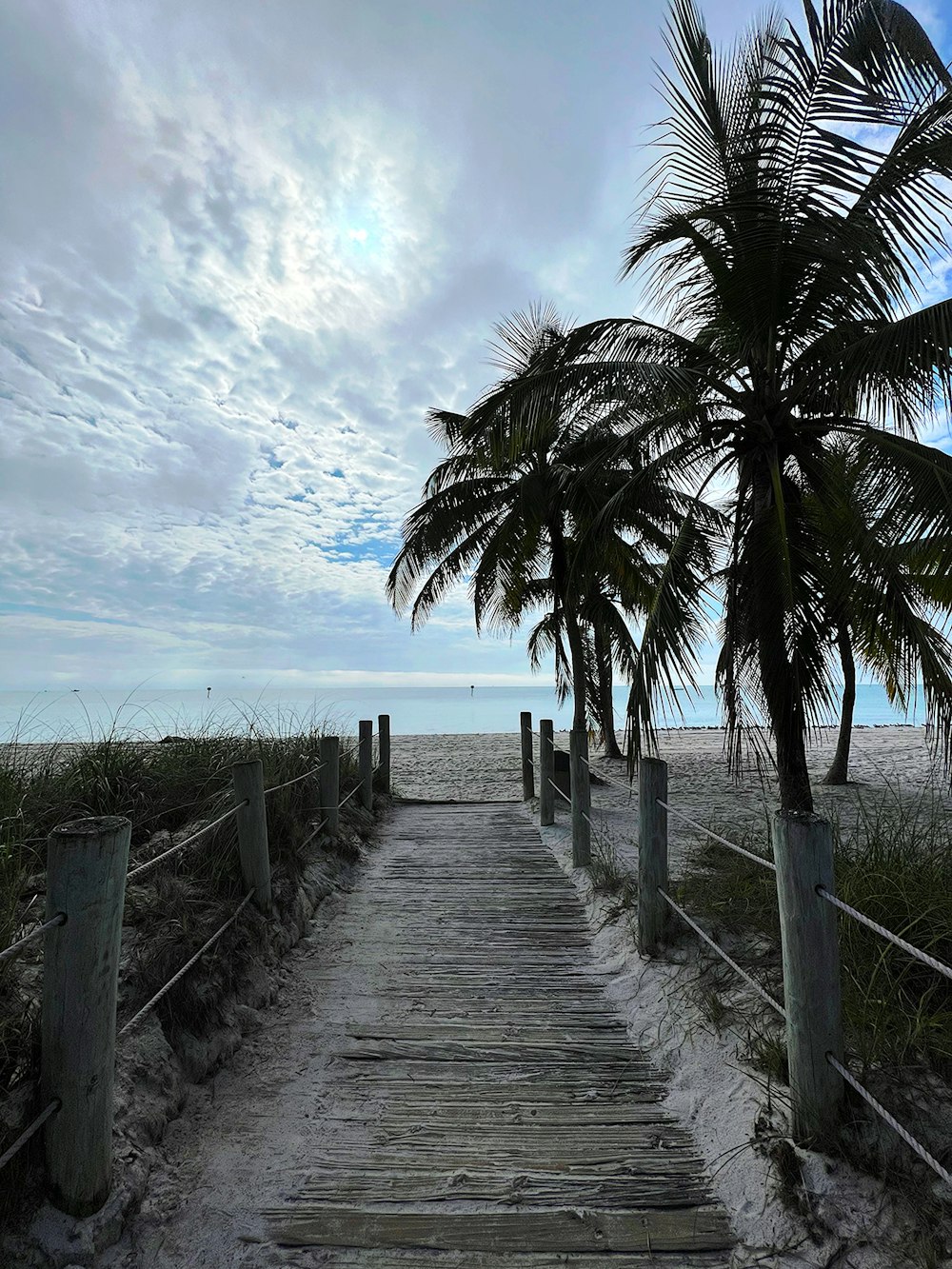 a wooden walkway leading to a beach with palm trees