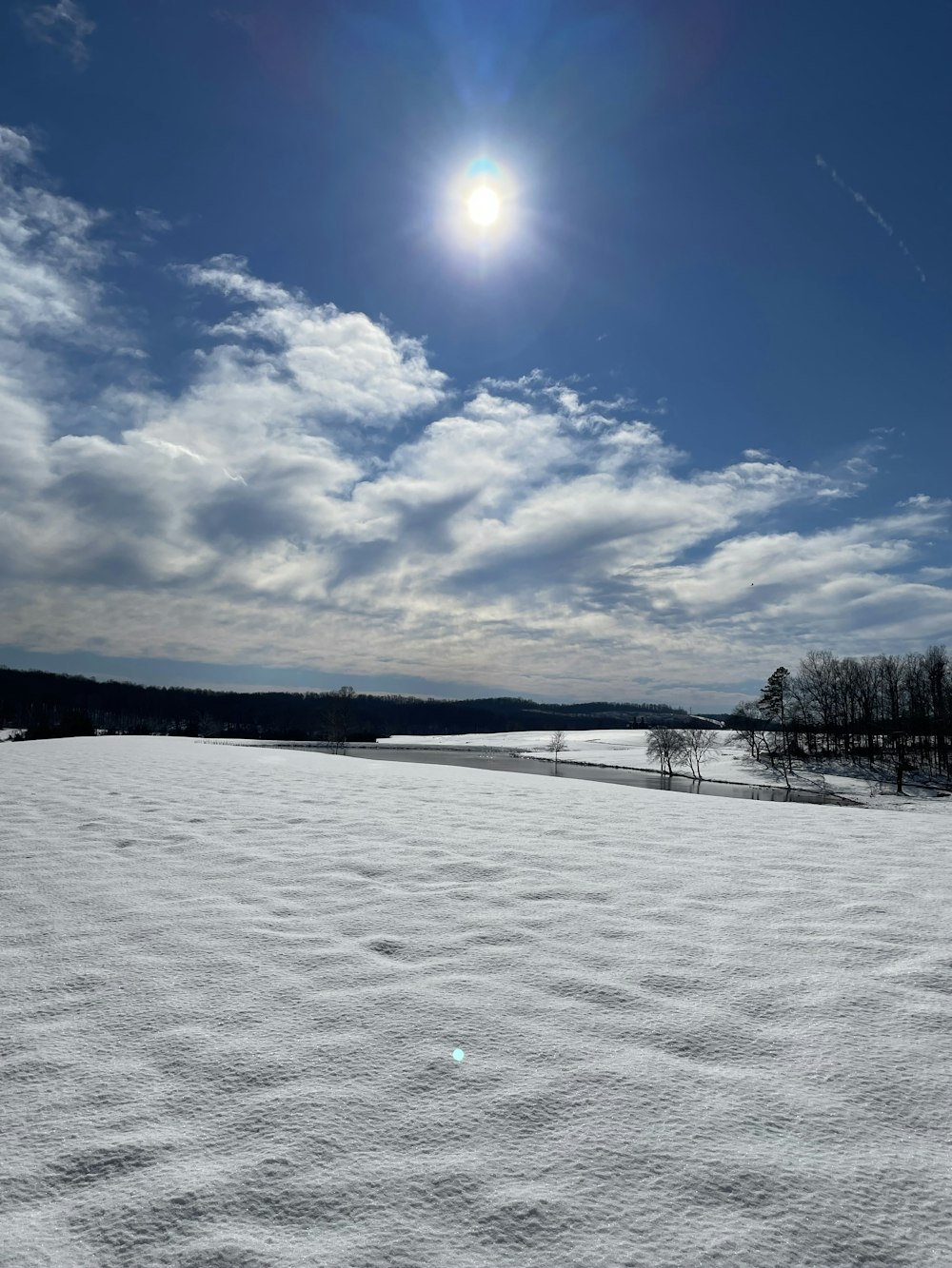 雪原に太陽が輝いている