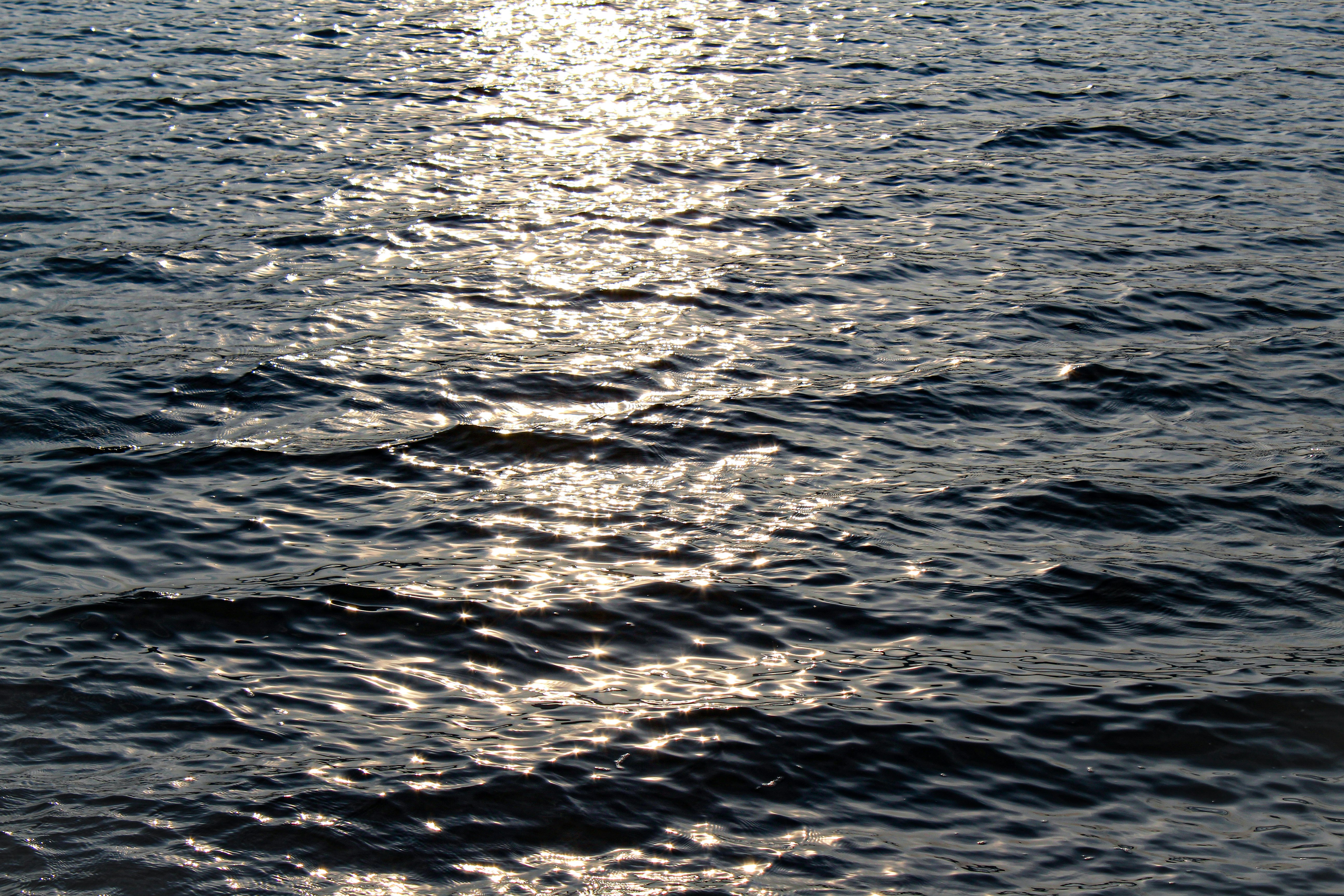 Photo by tusharranjan_