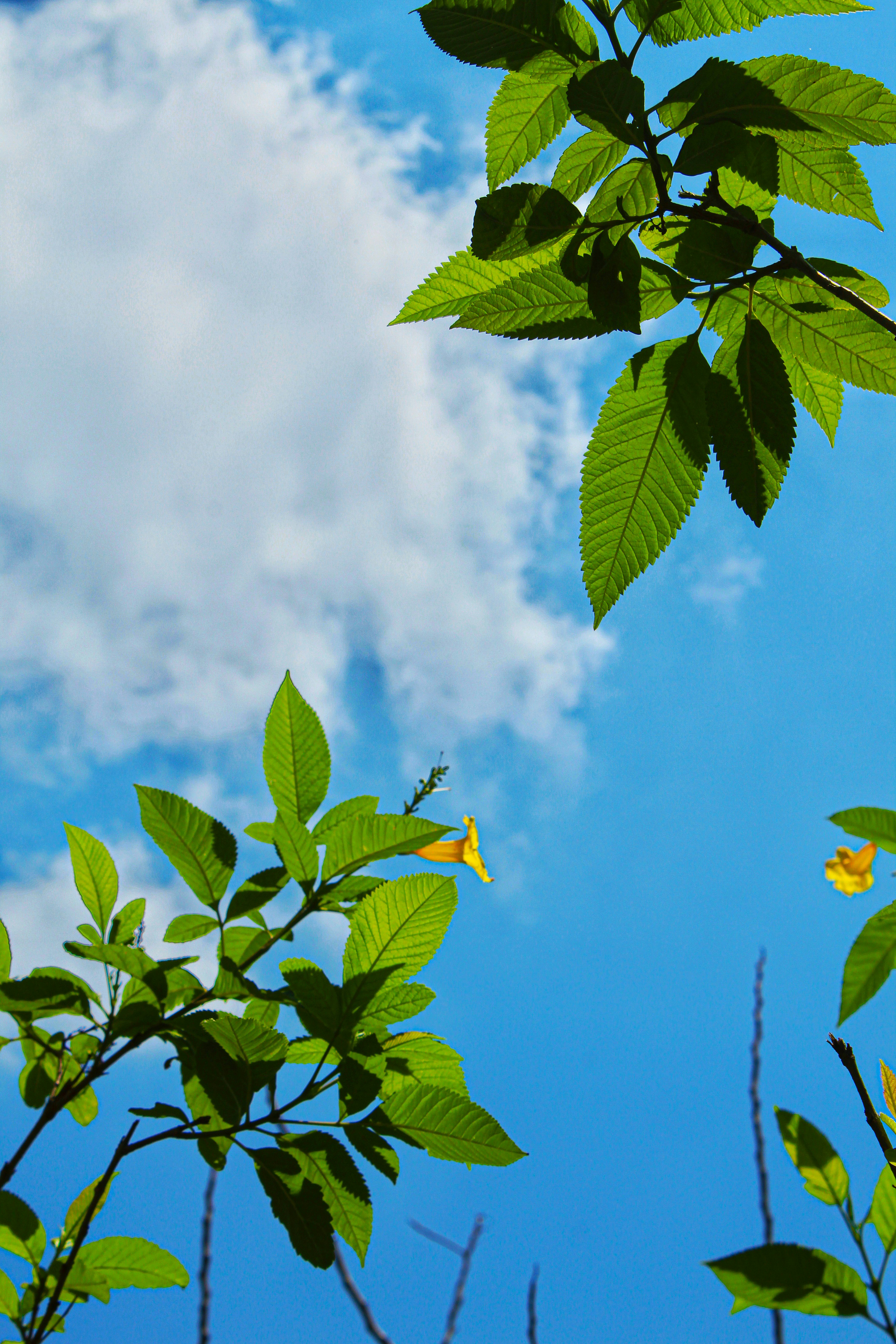 Photo by tusharranjan_