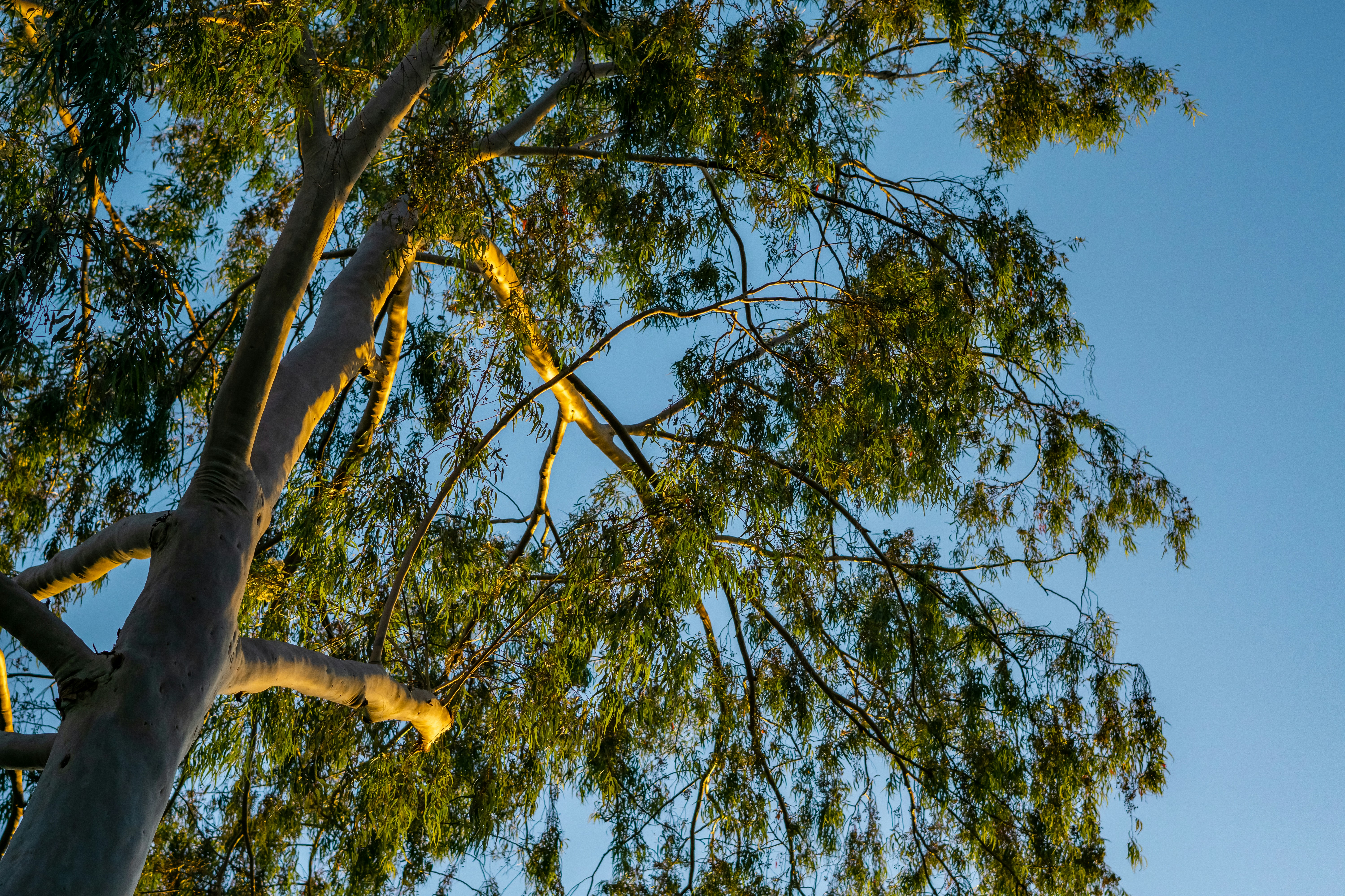 Photo by spencer_demera