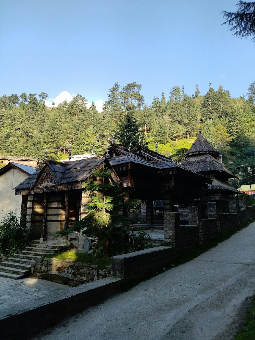 a house in the middle of a wooded area