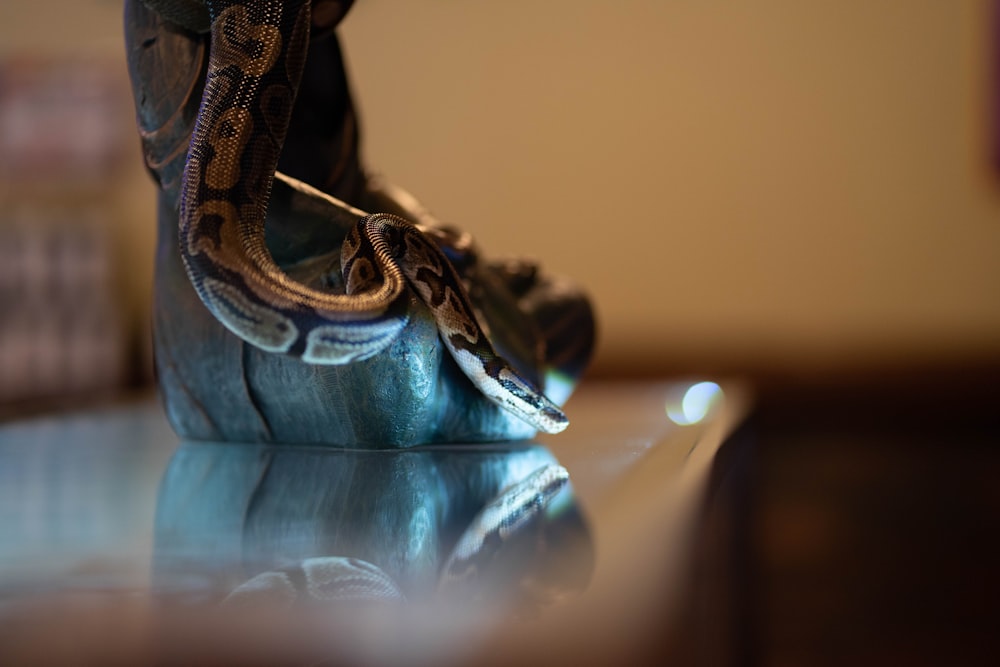 a close up of a pair of shoes on a table