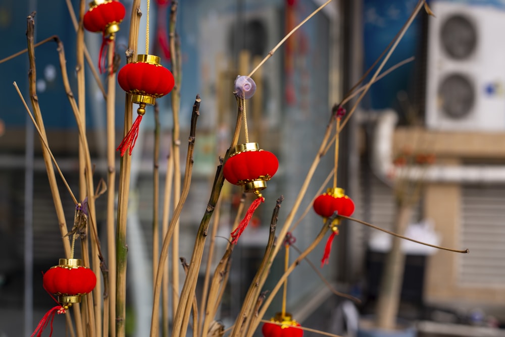 a close up of a bunch of red flowers in a vase