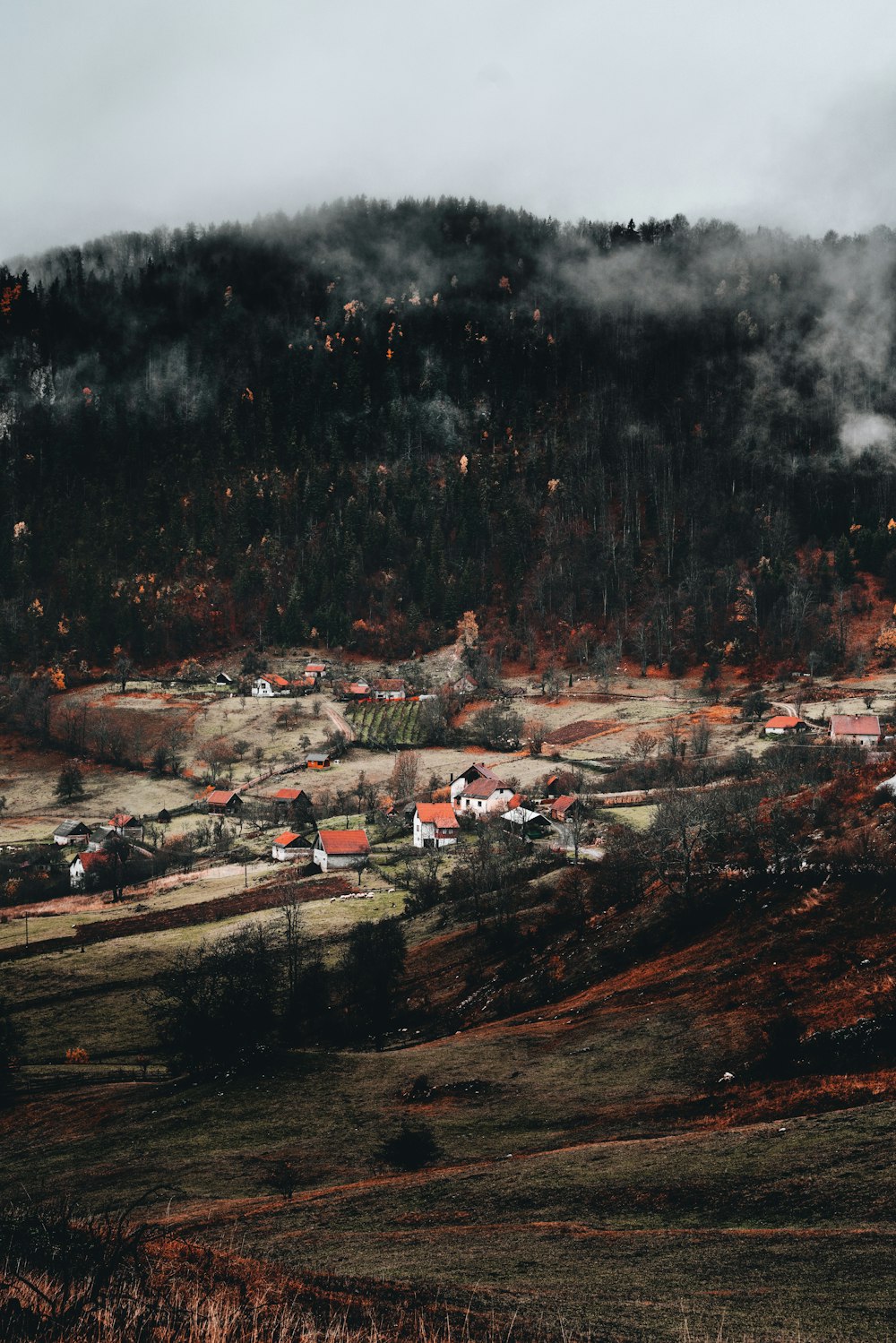 a small town nestled on a hill with a forest in the background