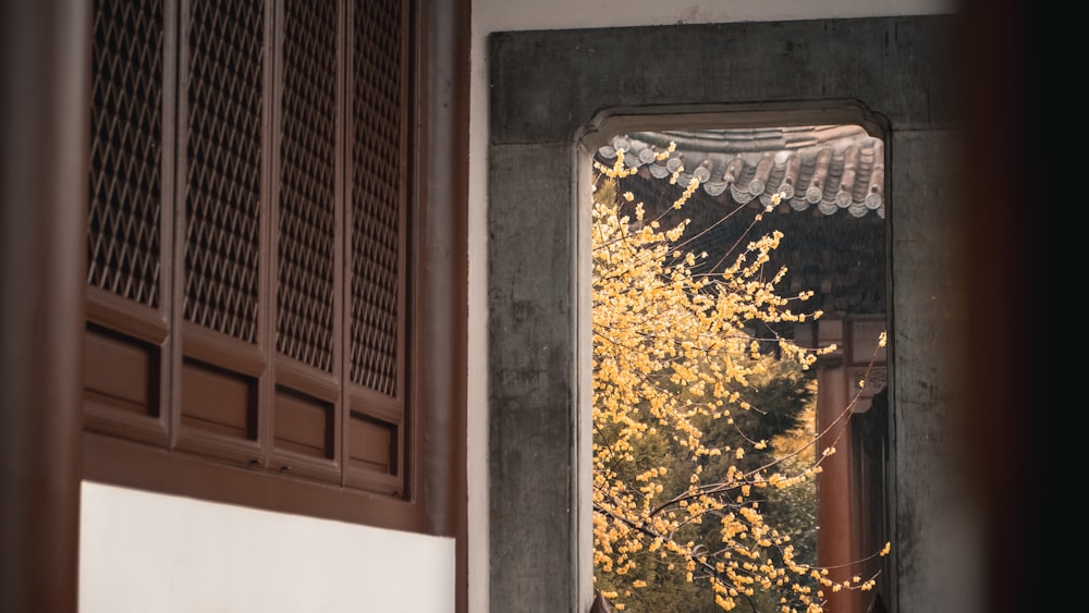 a view of a tree through a window