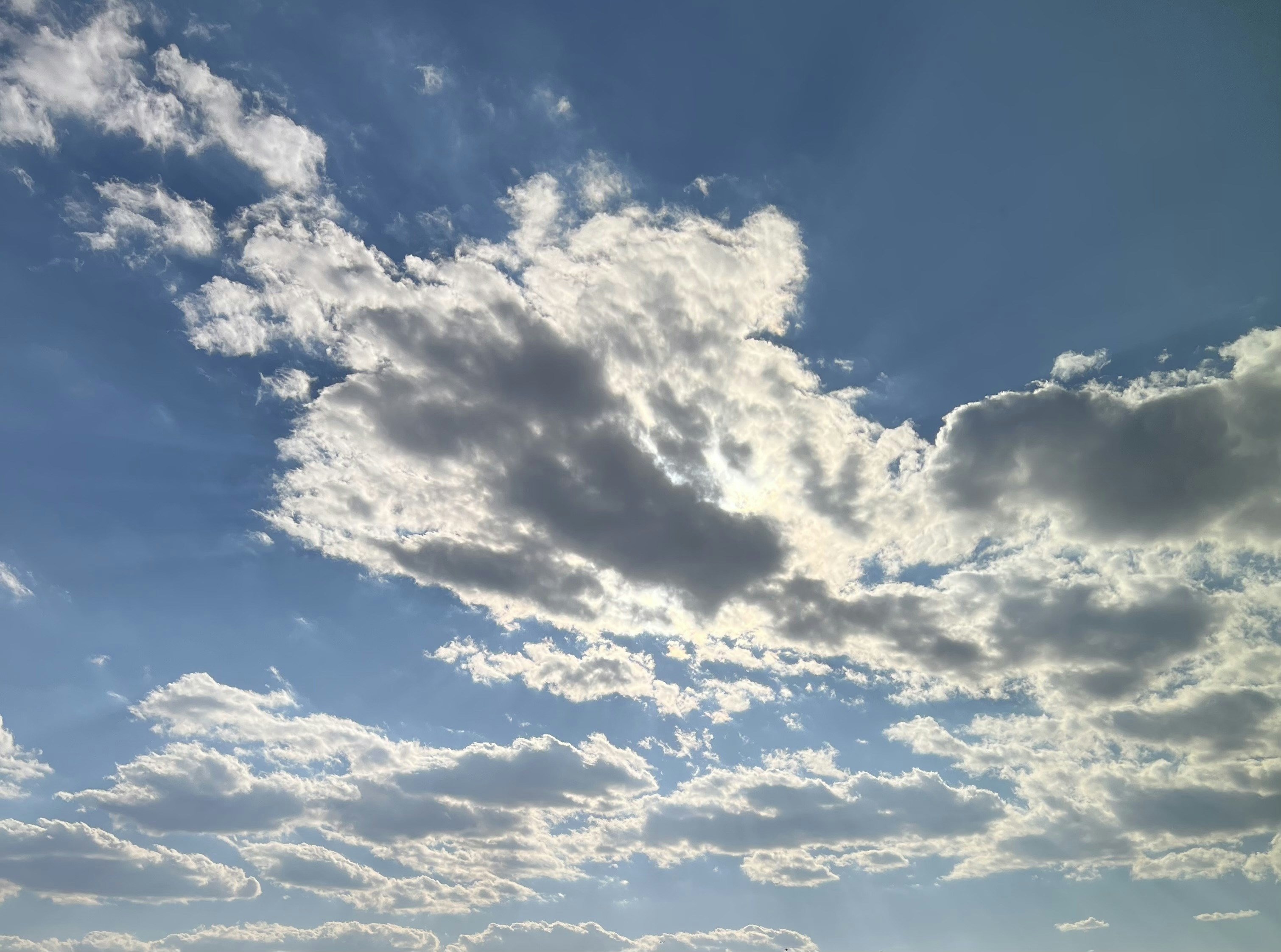 a group of people standing on a beach under a cloudy blue sky
