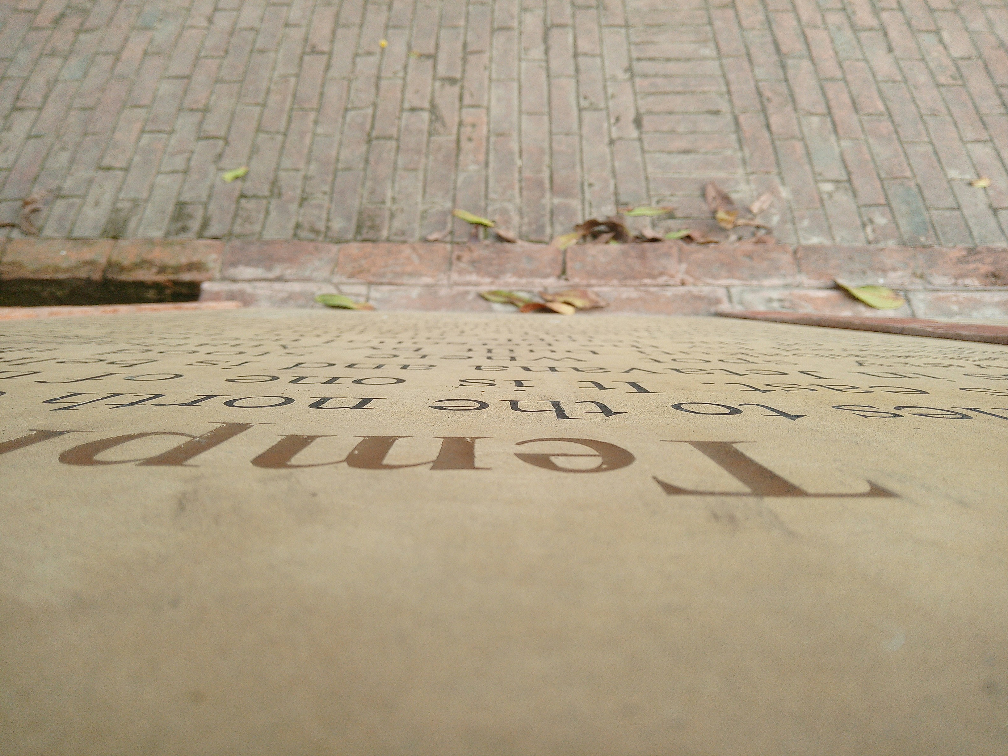 Photo by annoyinghero